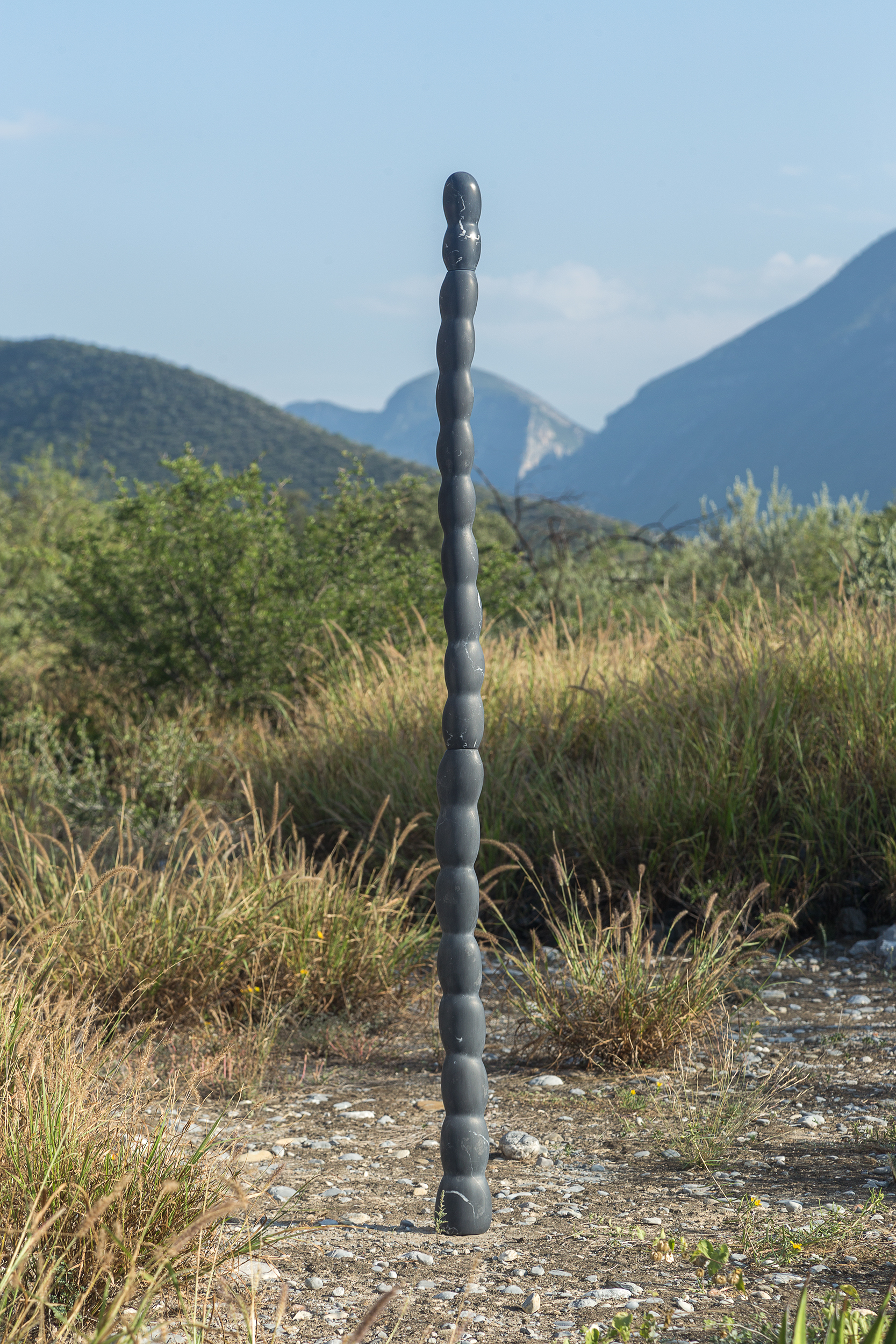 El sonar de las semillas / The sound of seeds