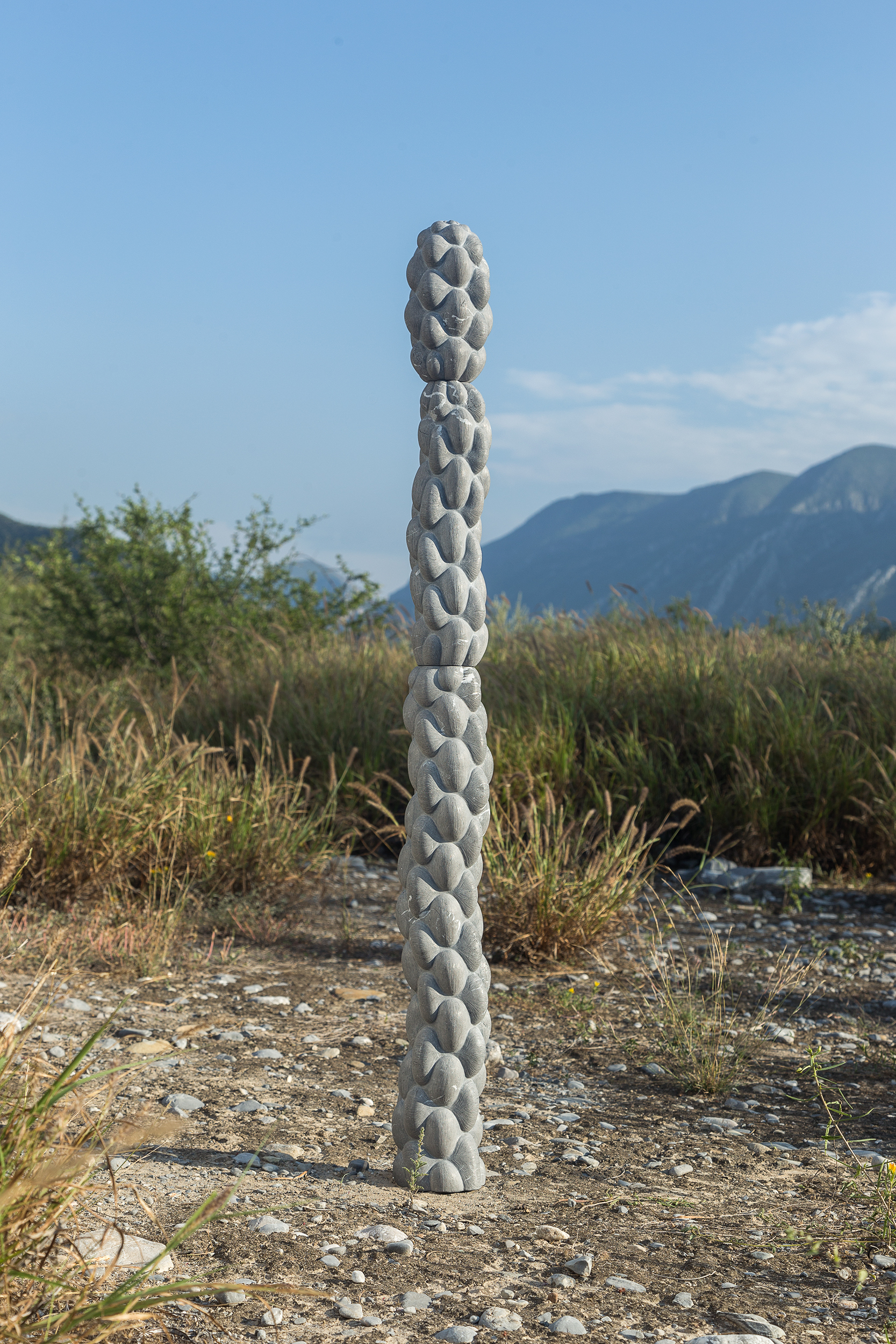 Un pequeño Cardenche / A small cylindropuntia