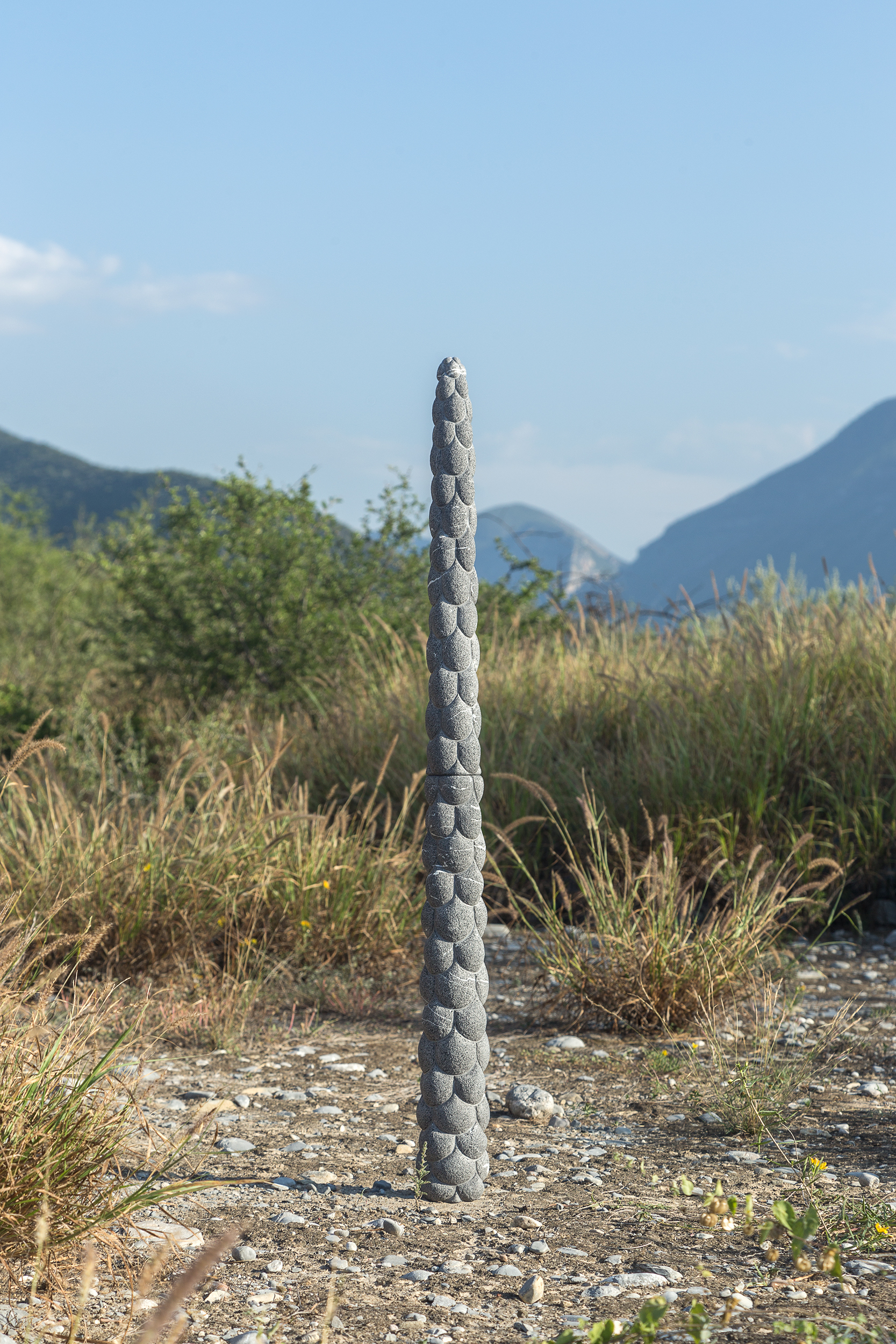 Flor de maguey / Maguey flower