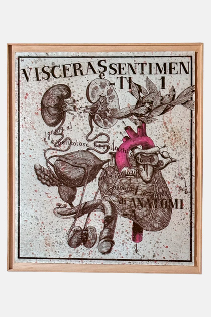Visceras i sentimenti I 