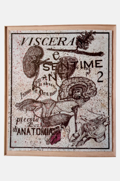 Visceras i sentimenti II