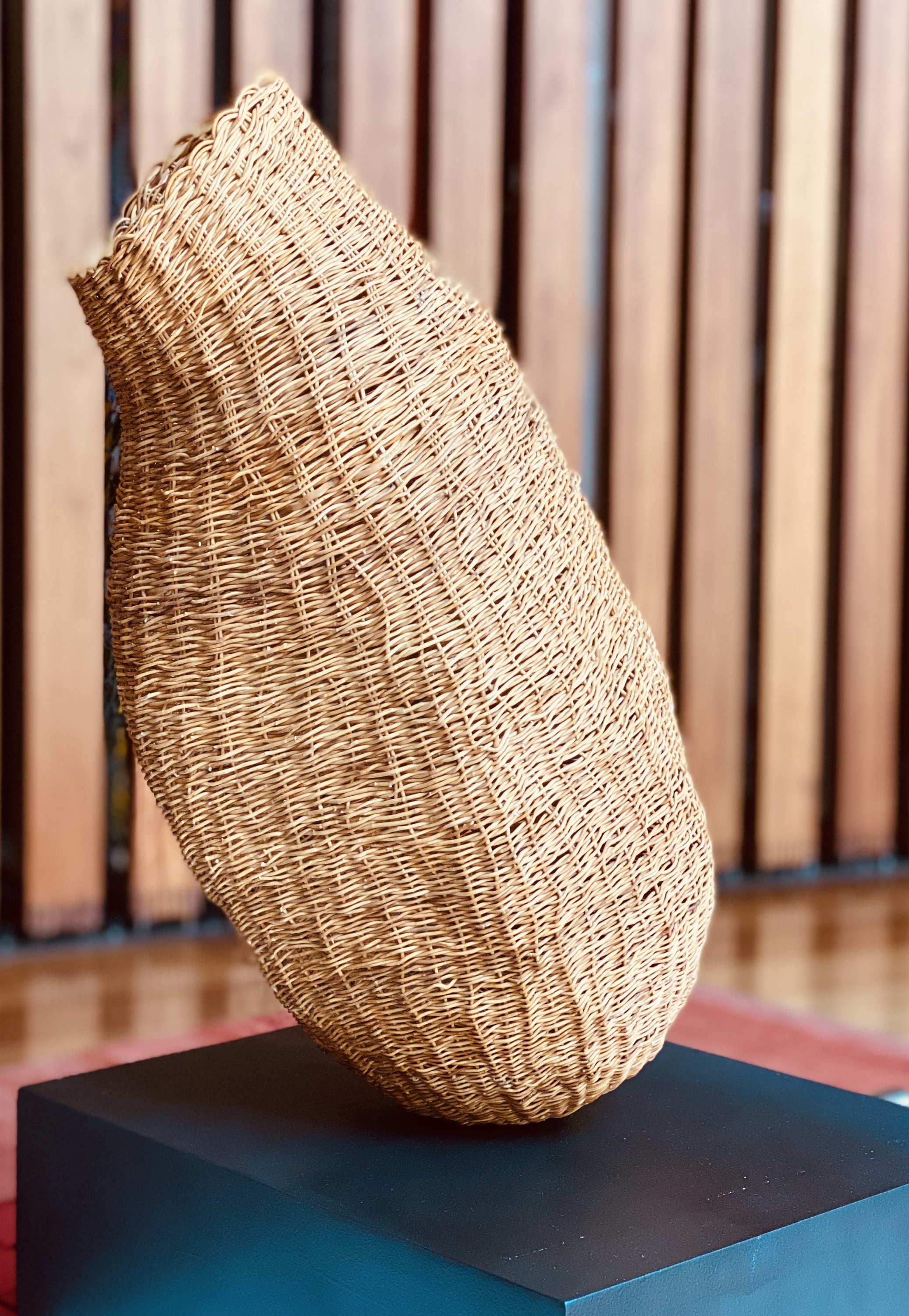 Vaío 4