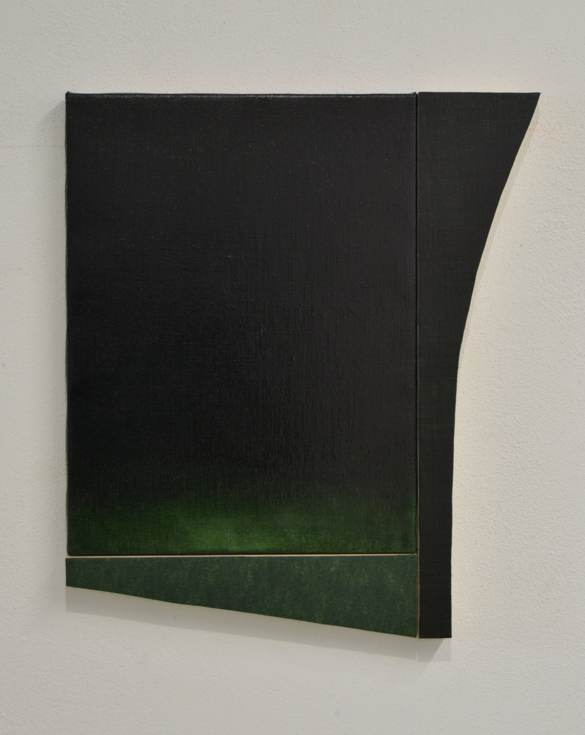 S/T.F.P Verde Vejiga III
