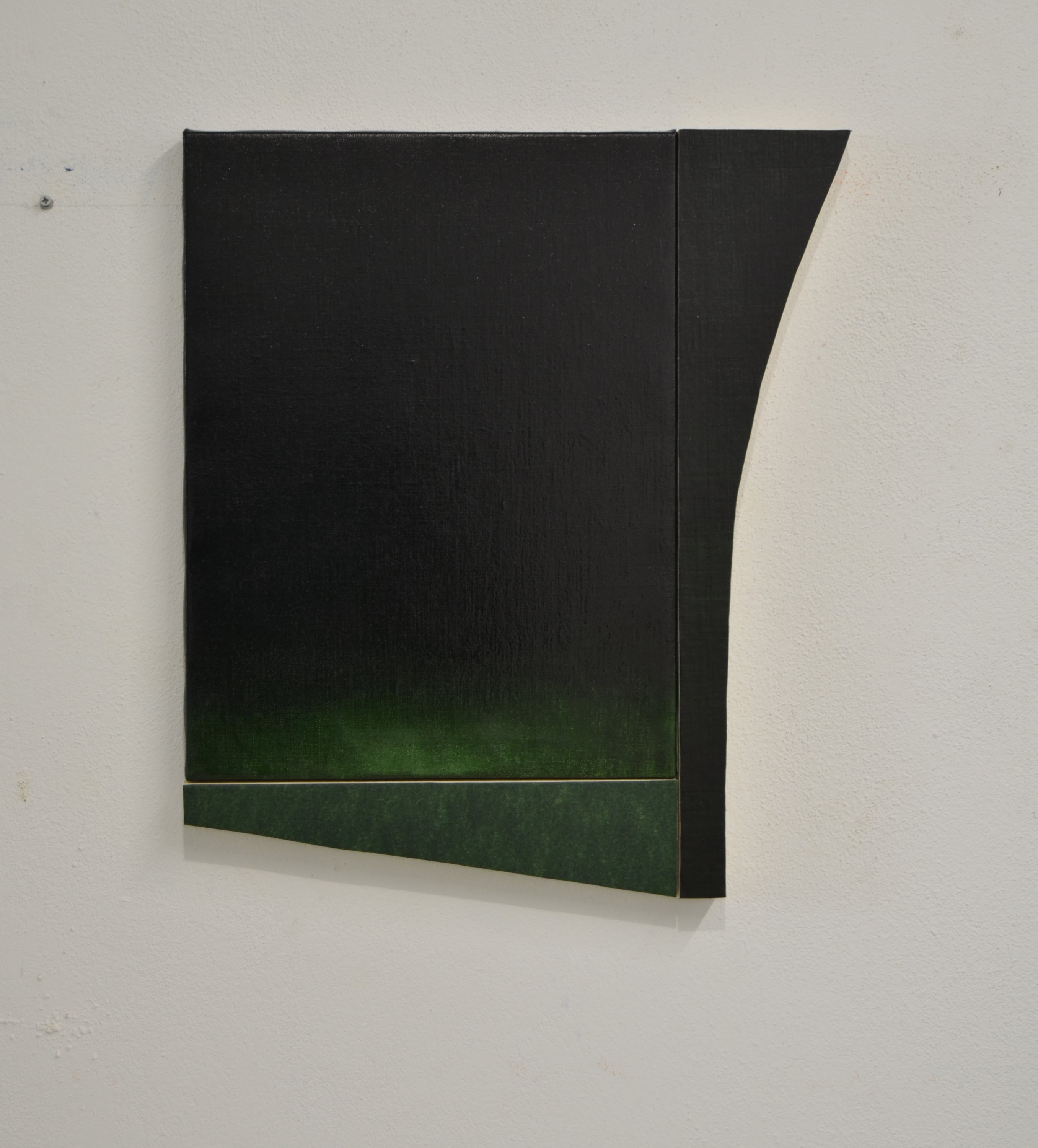 S/T.F.P Verde Vejiga III