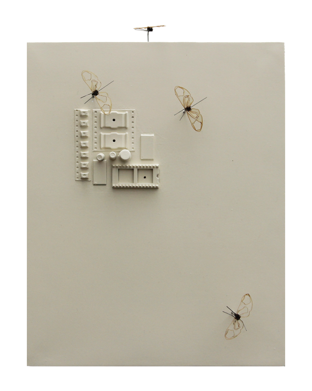 Colonia Mariposas (Colonia No.10)