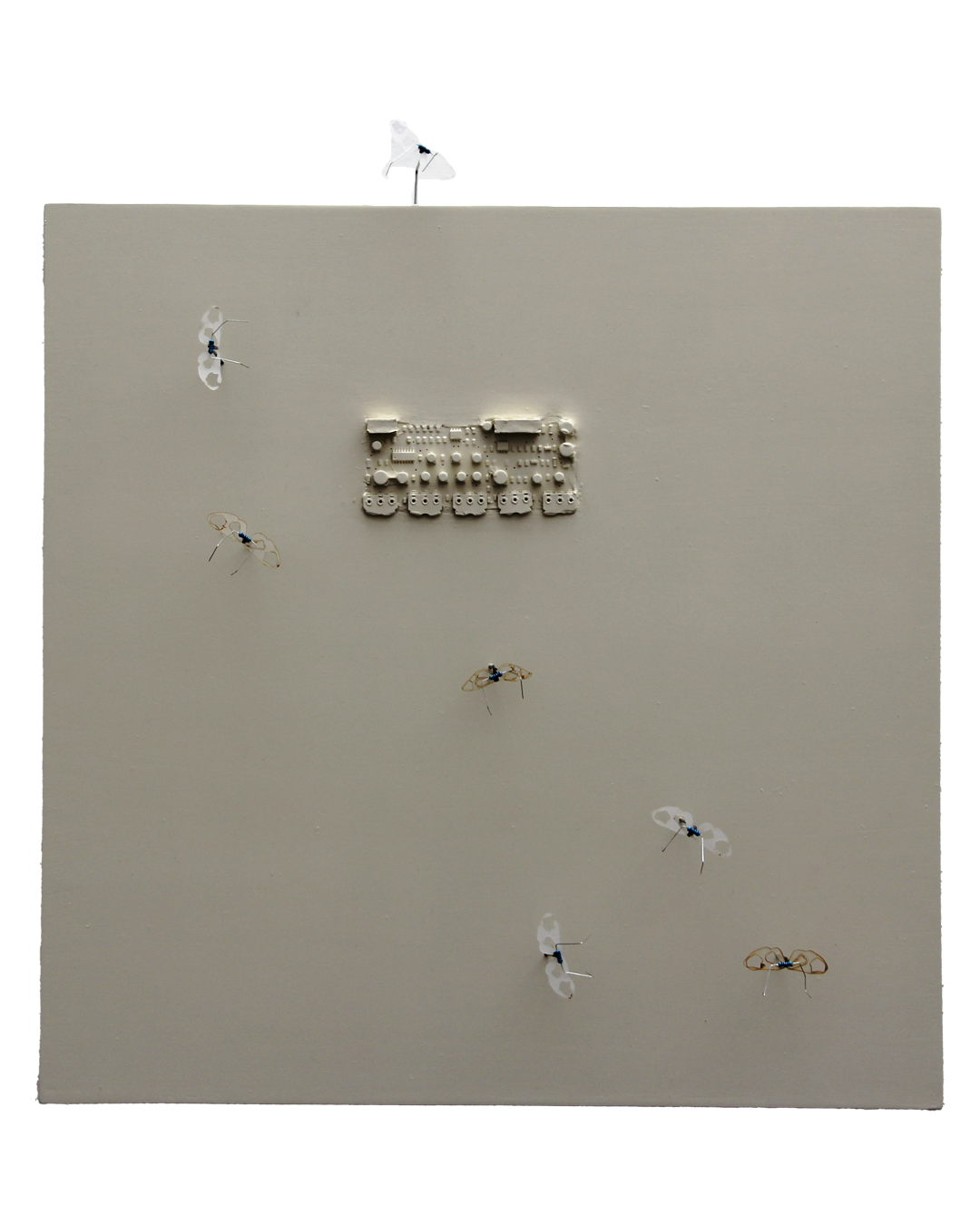 Colonia Jejenes (Colonia No.11) 