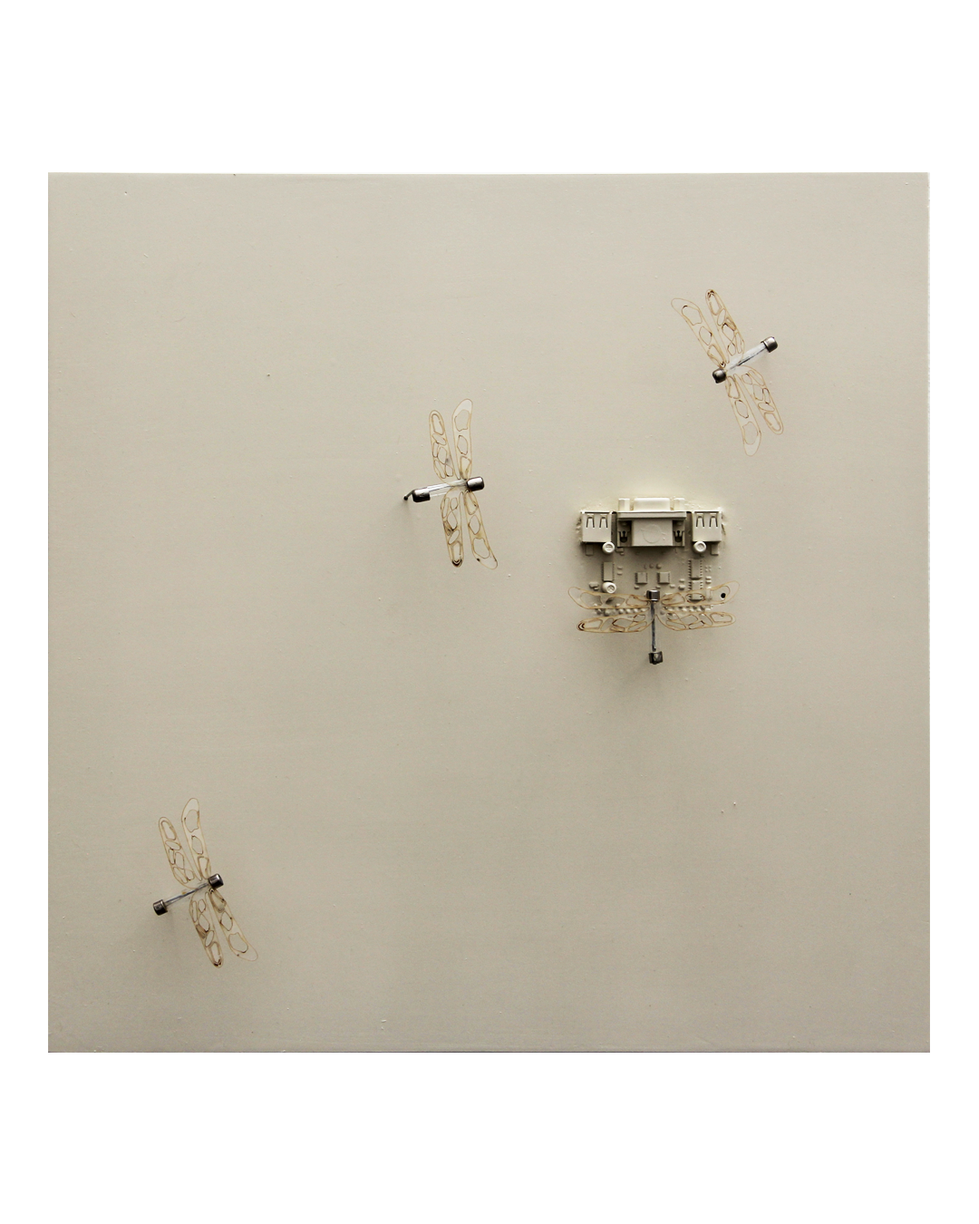 Colonia Libélulas (Colonia No.12)