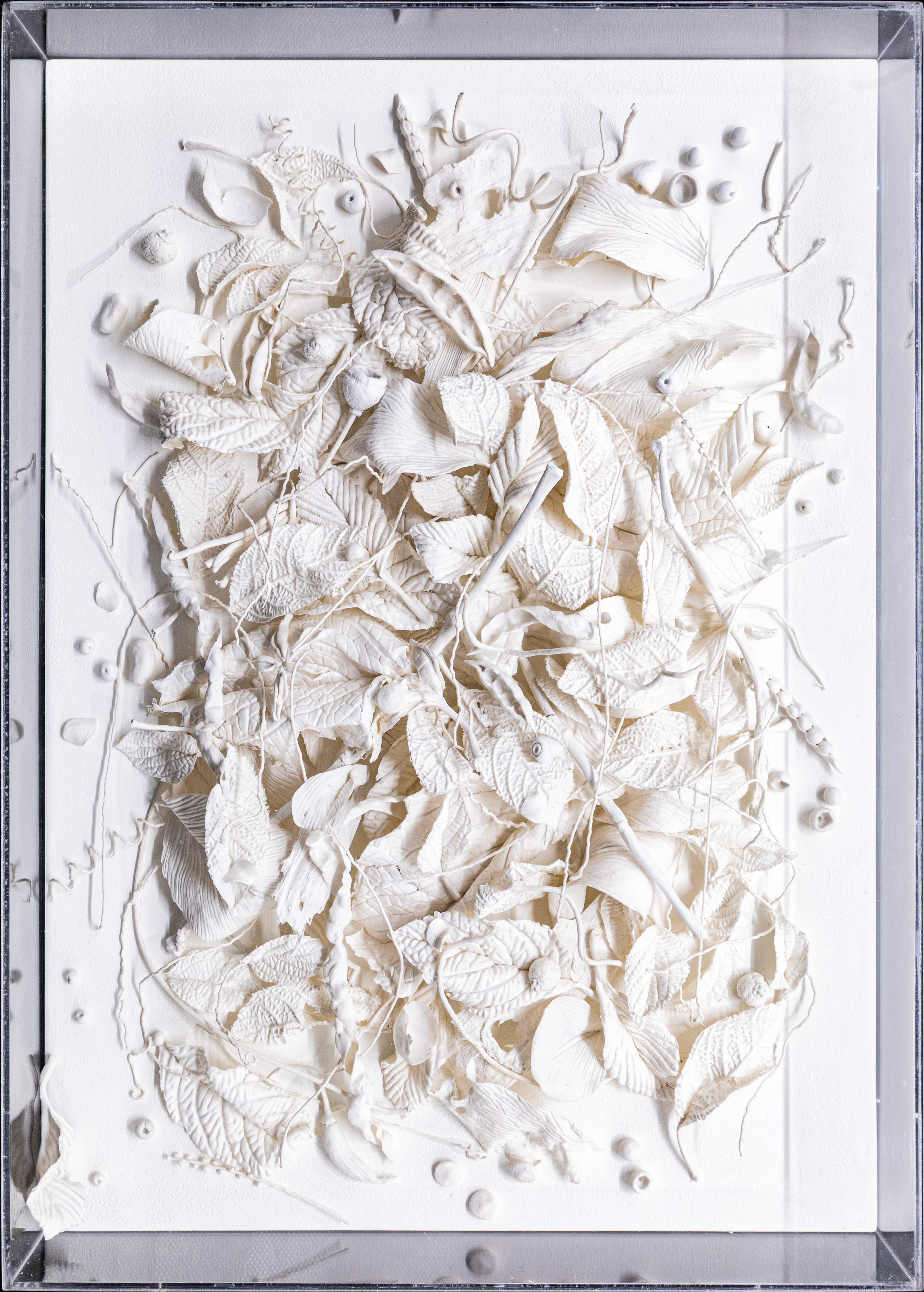 Fragmento de una hojarasca