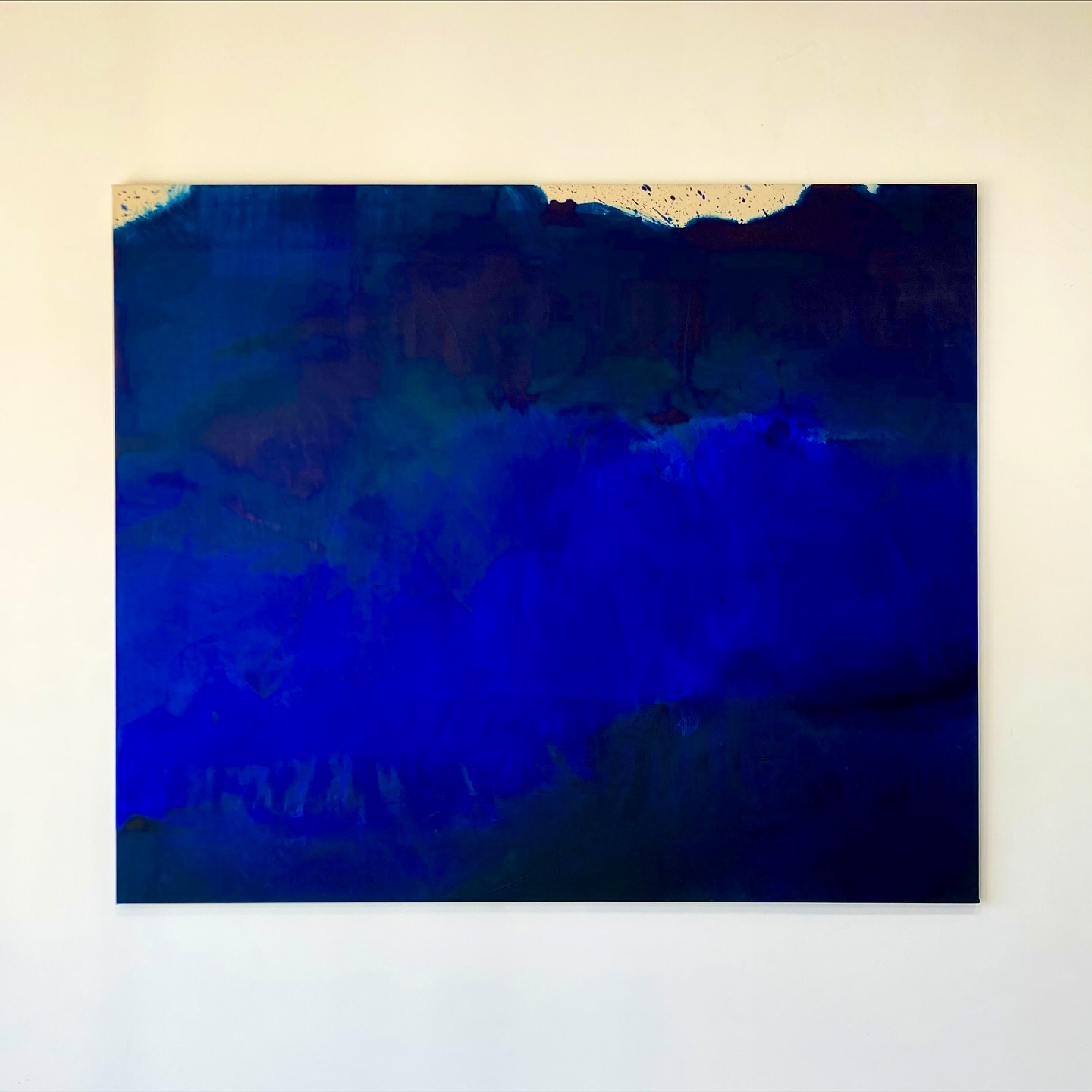 Bleu Raw