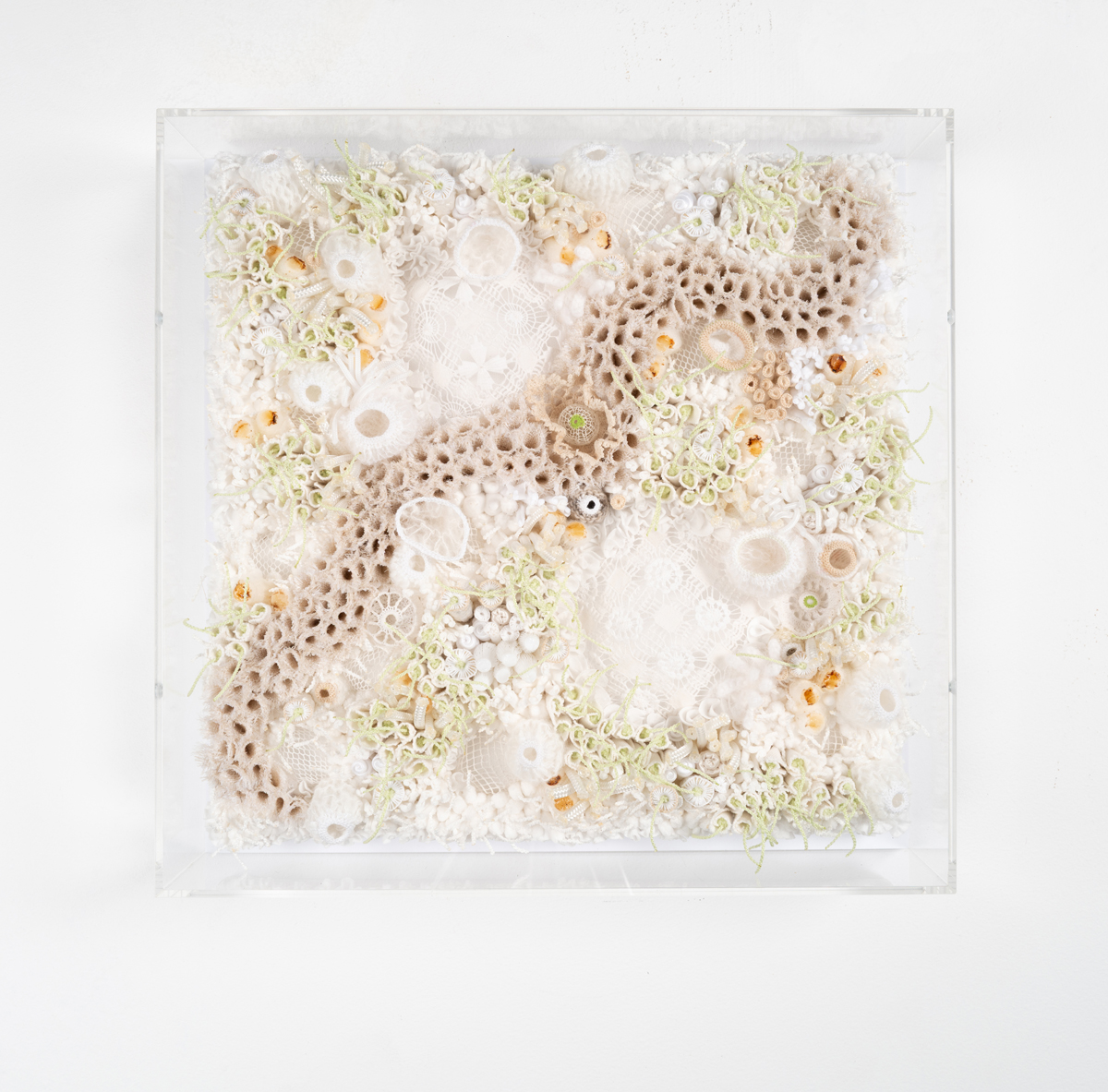 A. Officinalis series