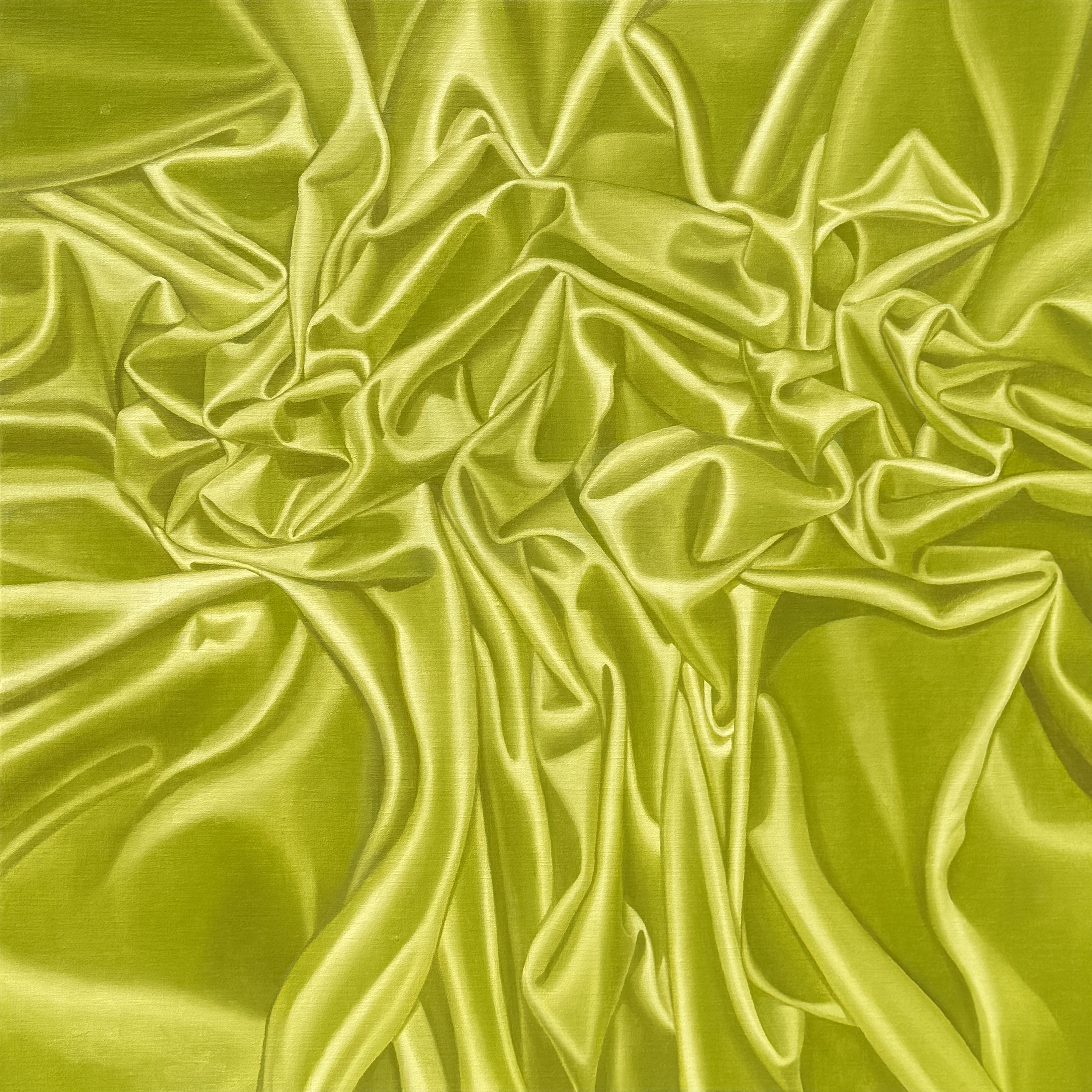 El bosque encantado 1 