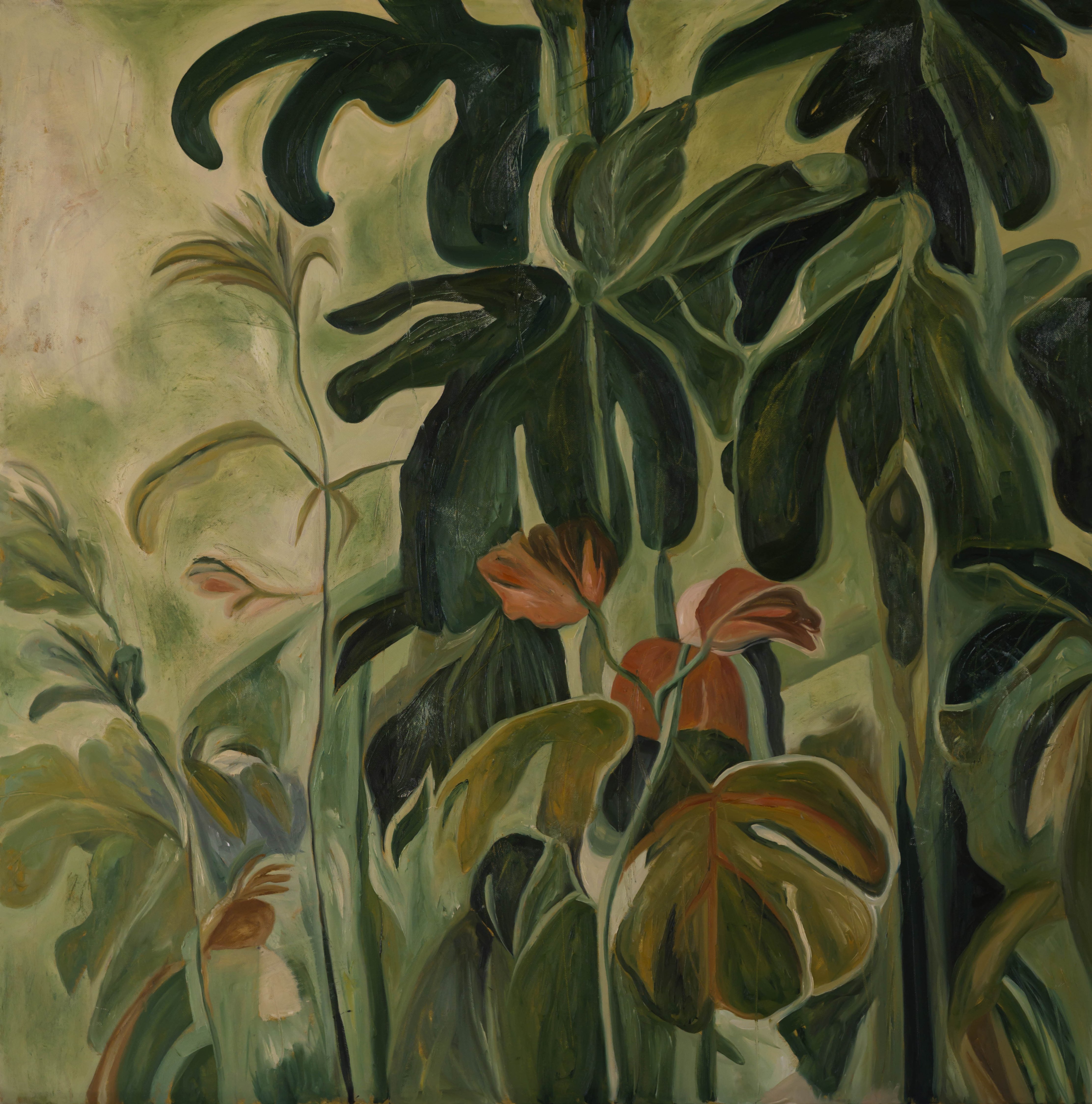 Ivy Porã