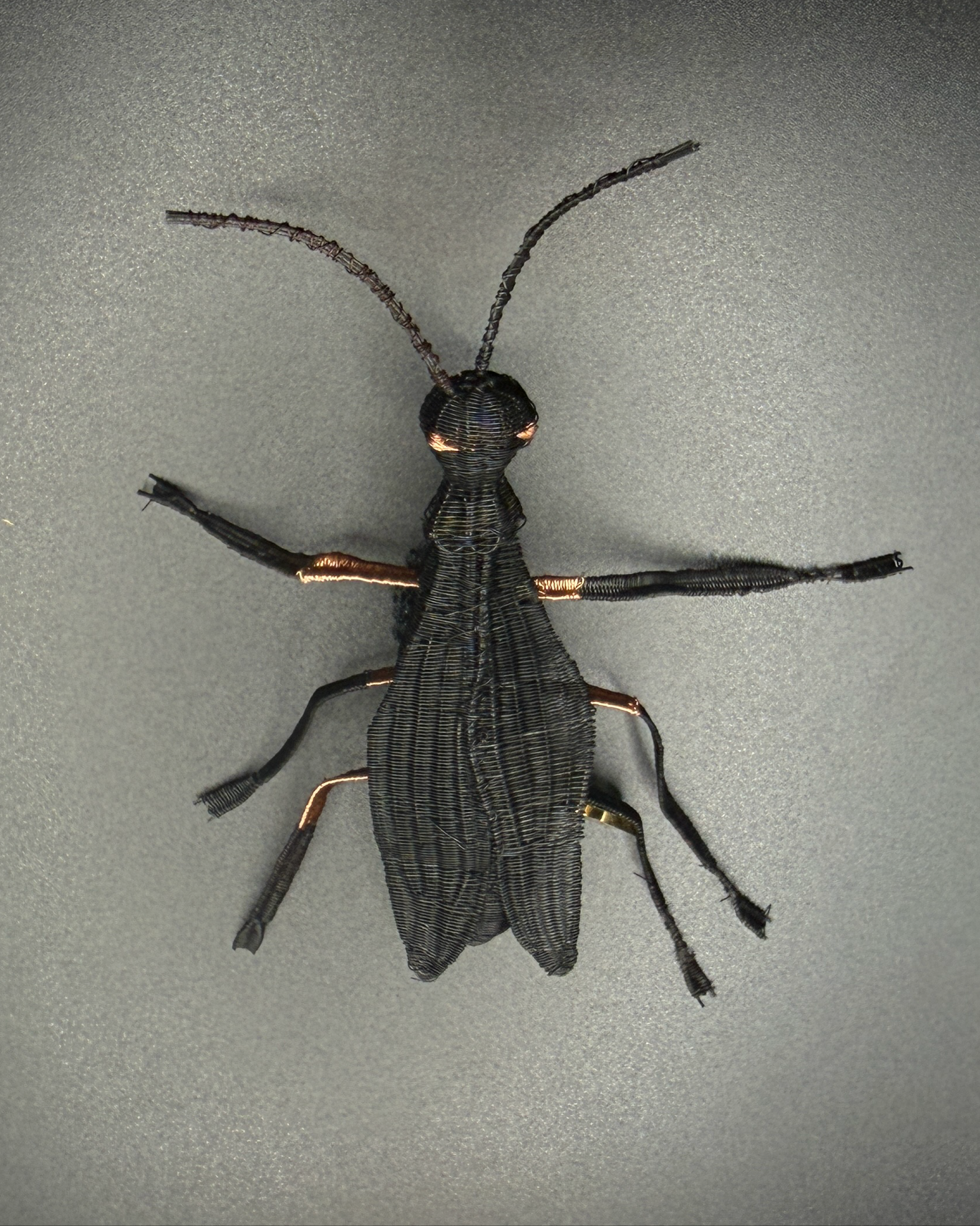 Prendedor Espíritu del crin