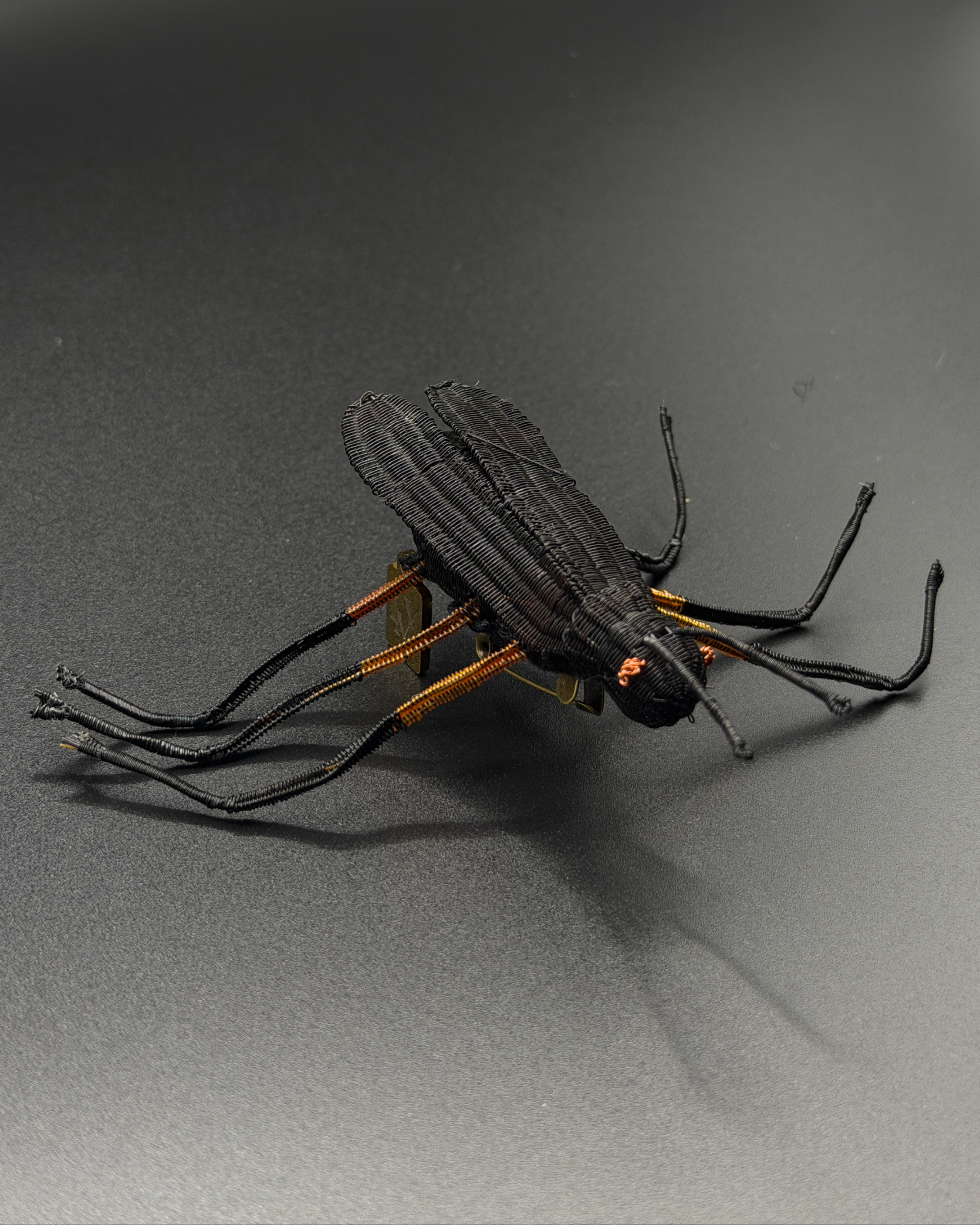 Prendedor Signo Íntimo