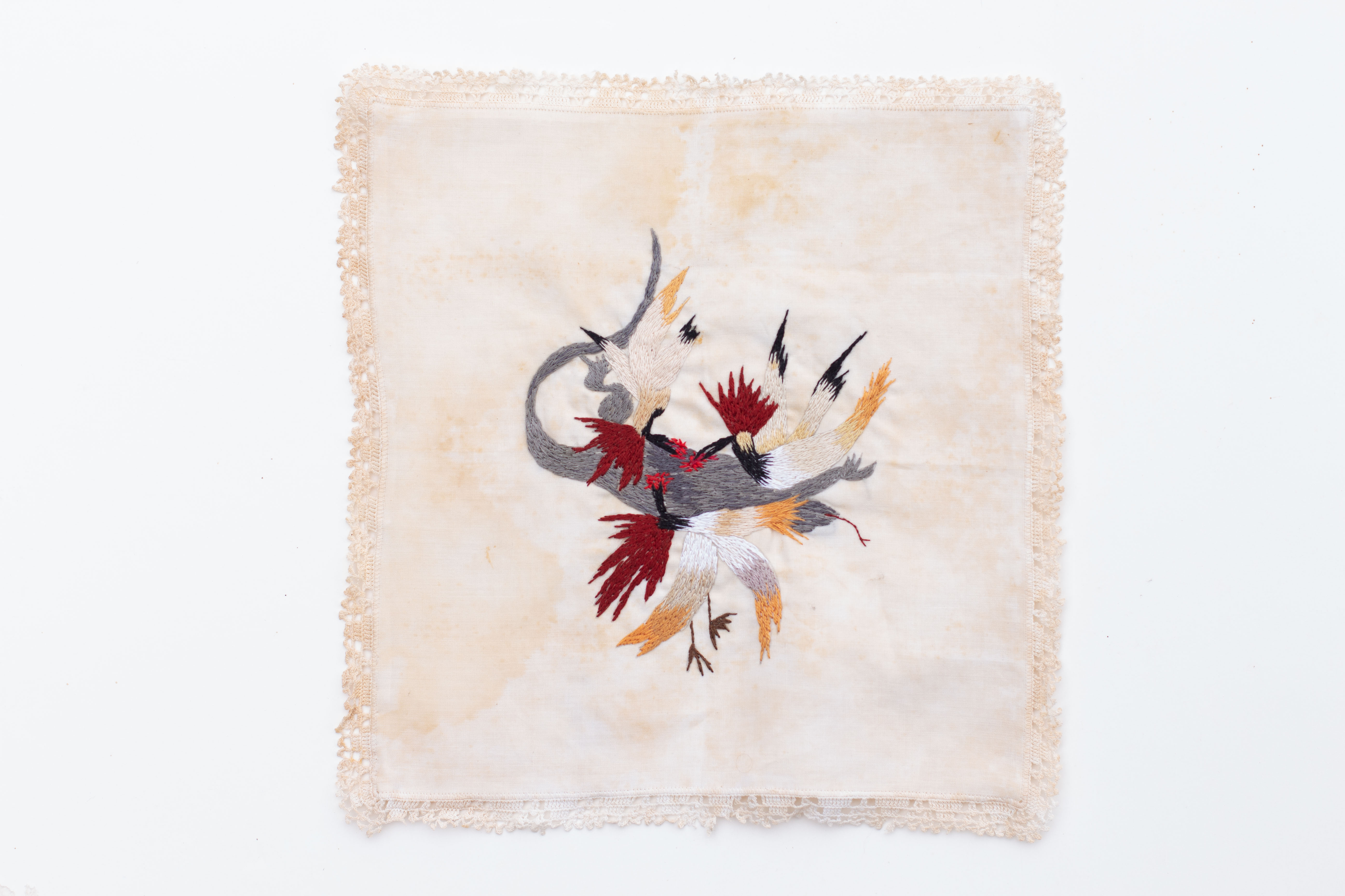 12 [de la serie las aves gritan] 