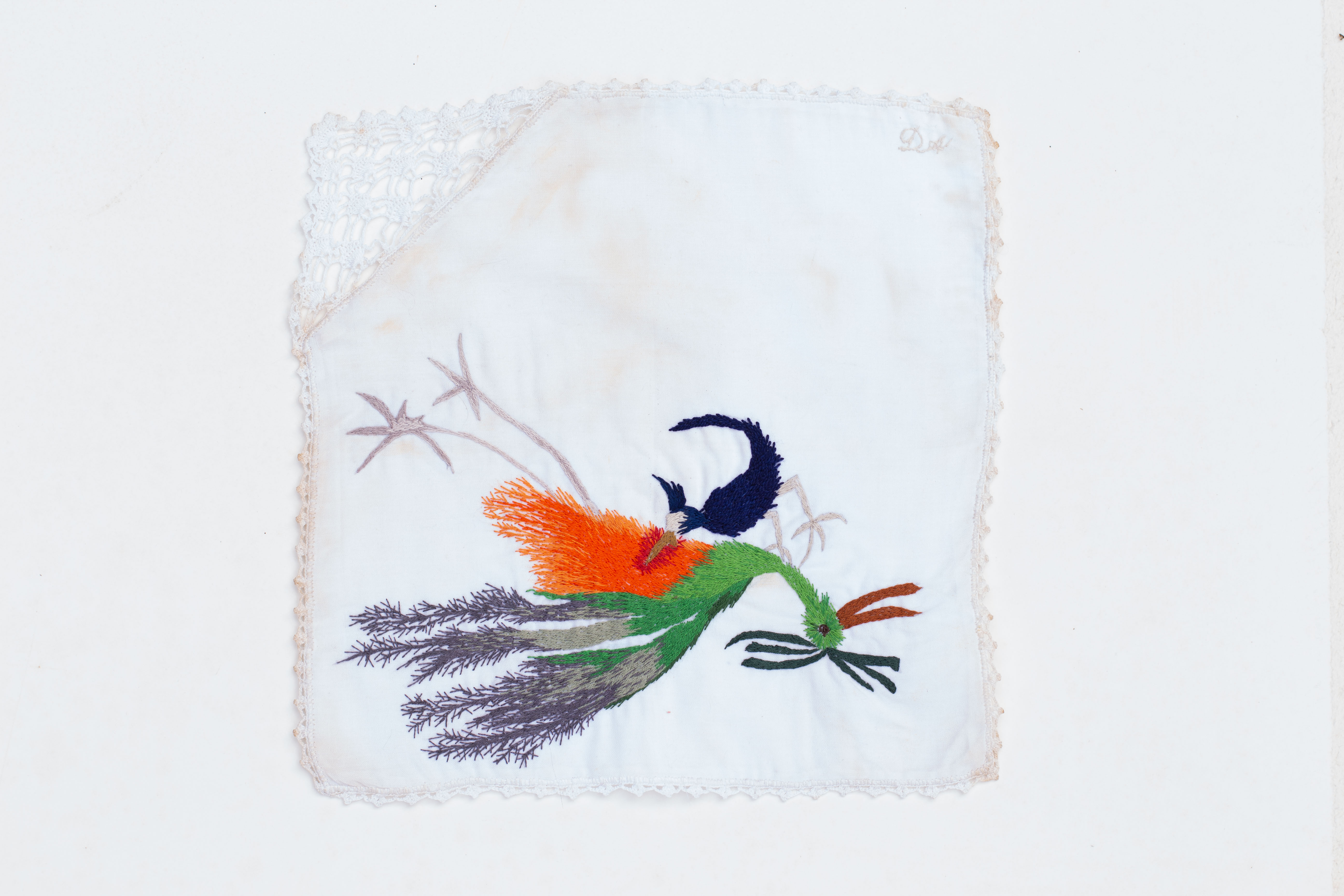 16 [de la serie las aves gritan] 