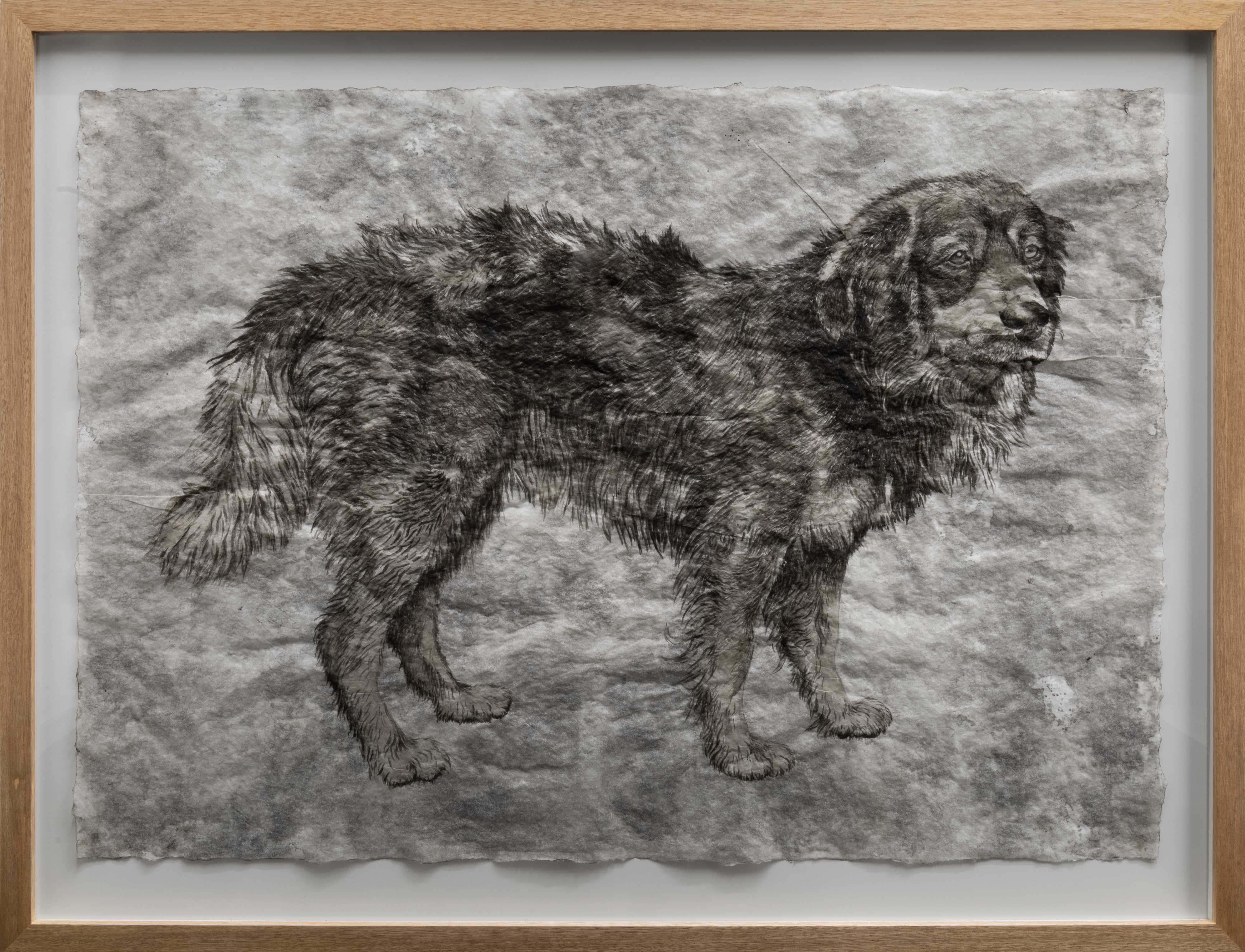 Vestigios No. 8 ('Mono')