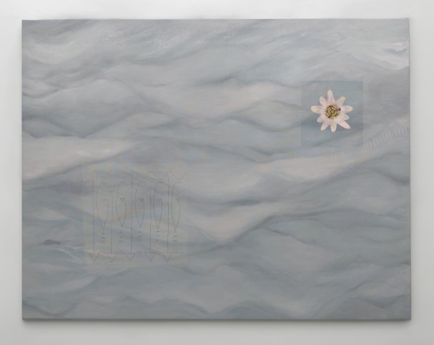 Asperita y pasionaria