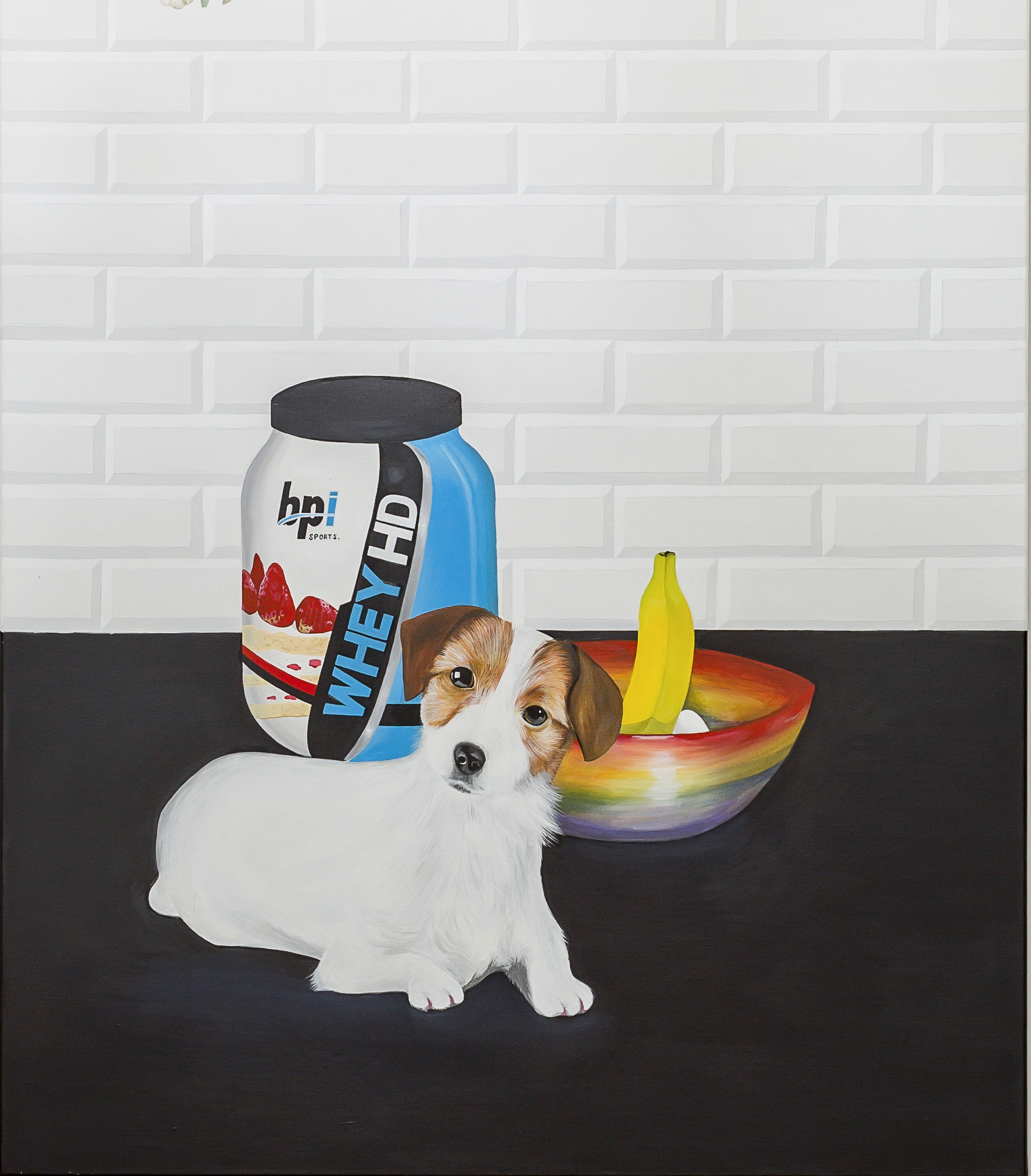 Perro