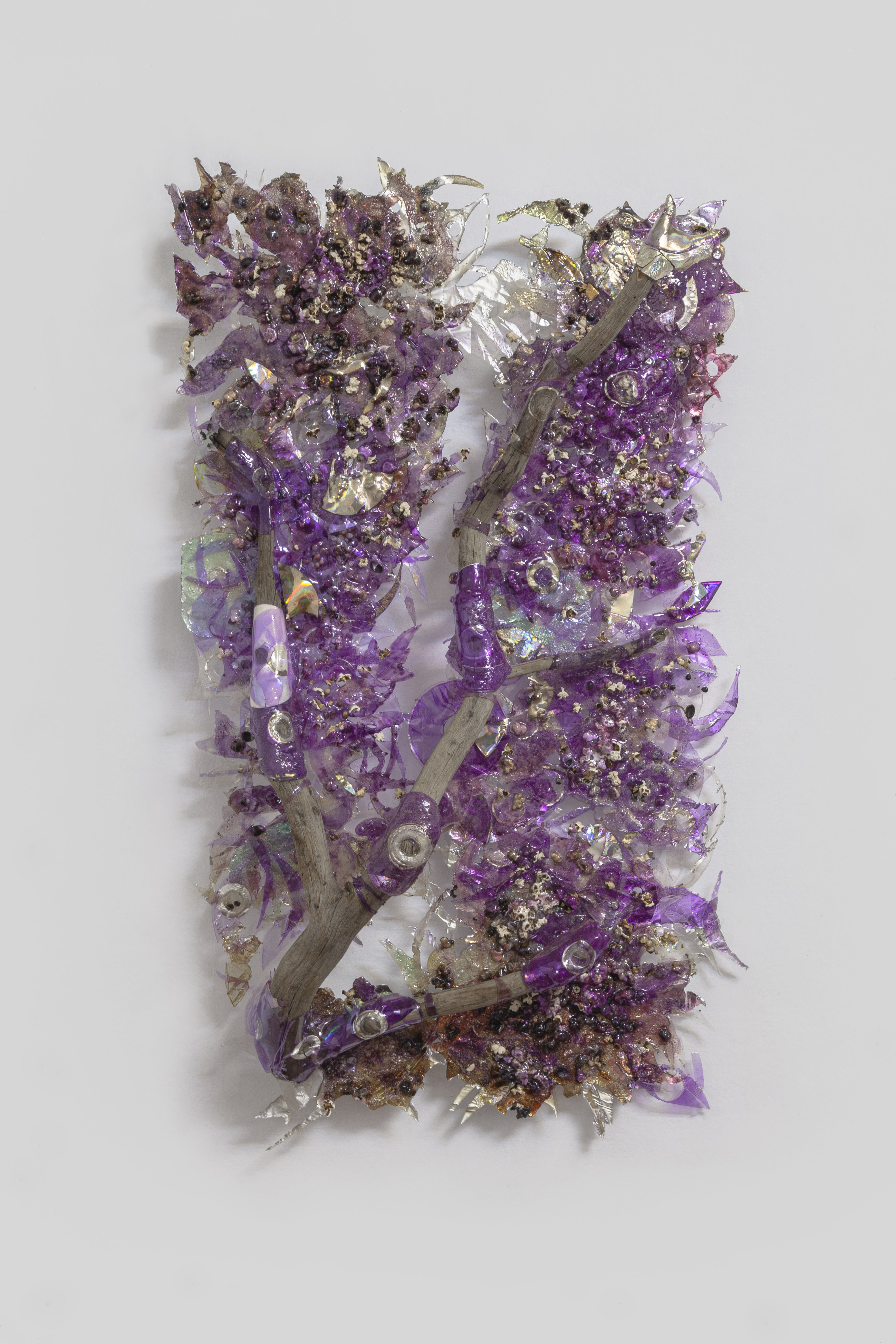 Ciruelo en flor