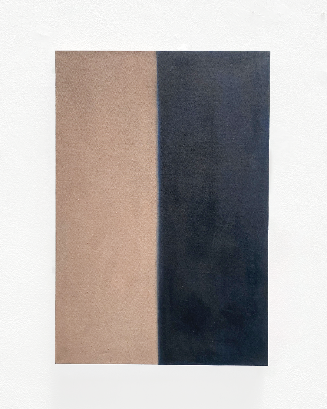 Pinzón macho y hembra