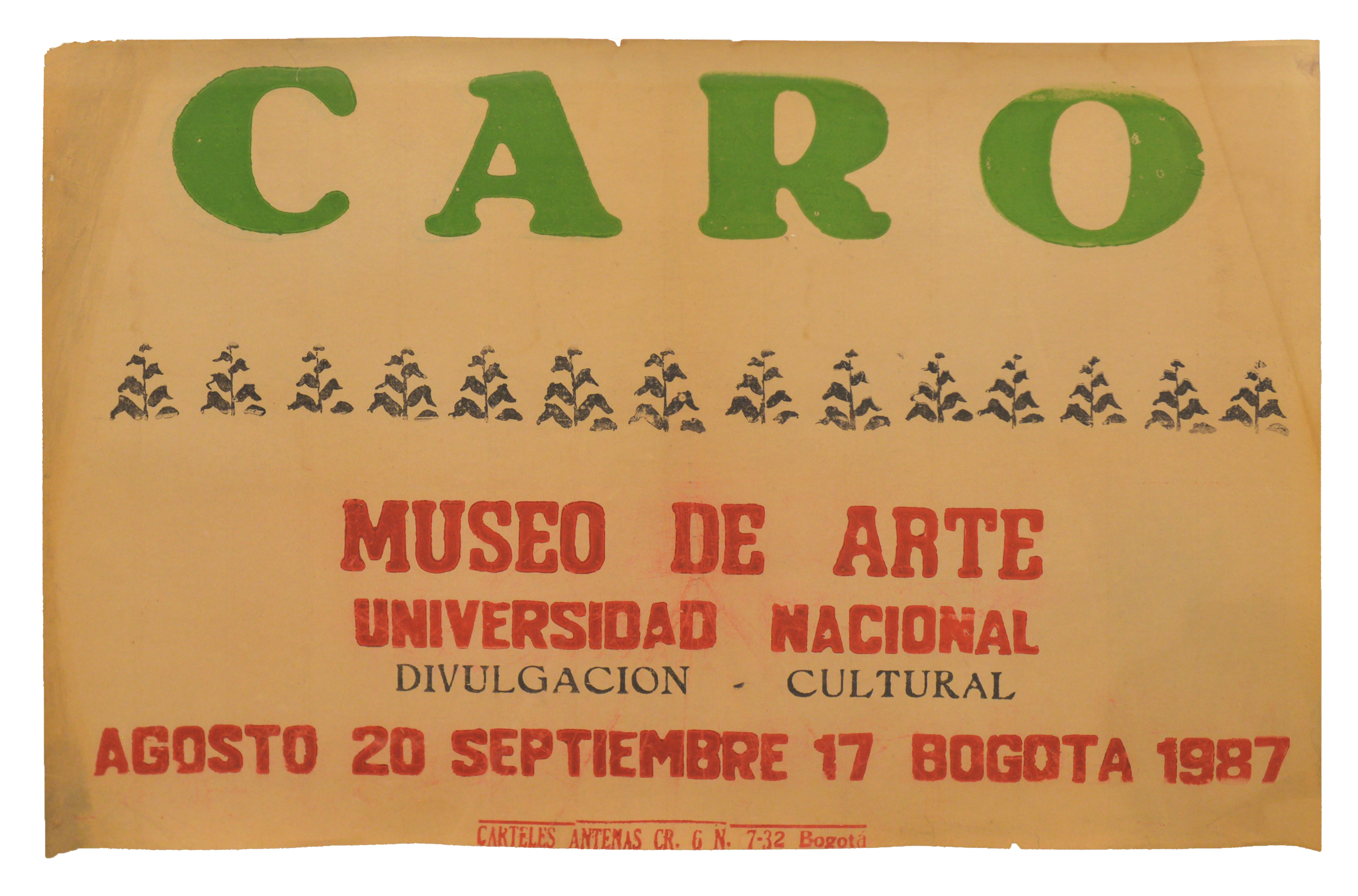 Caro Museo de Arte Universidad Nacional