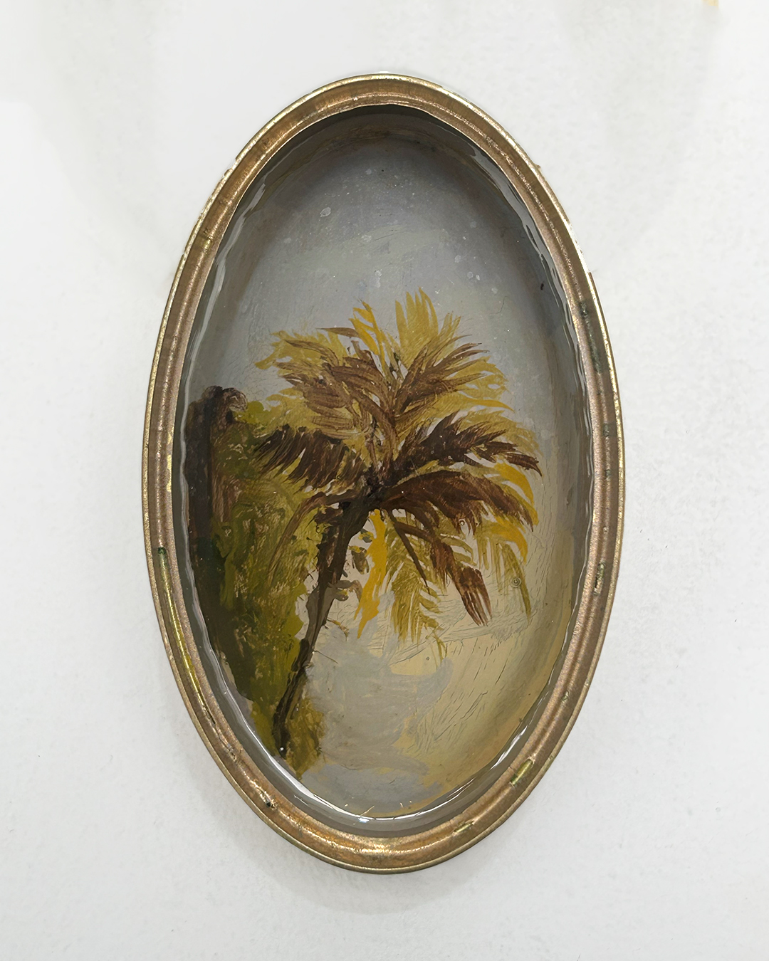 De la serie “Tipologías e inventarios” las palmeras y lo tropical.