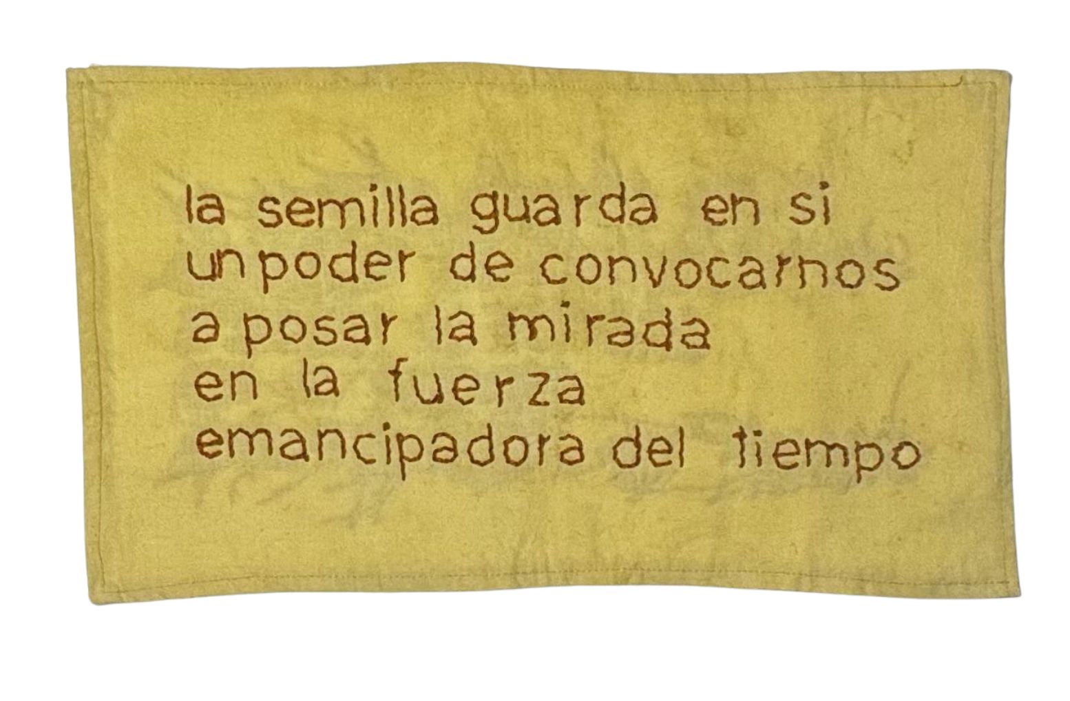 La fuerza del tiempo II (semilla)