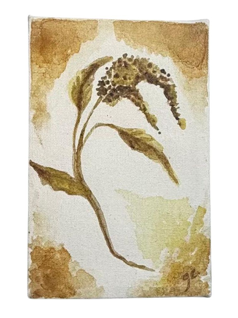 Amaranthus 2
