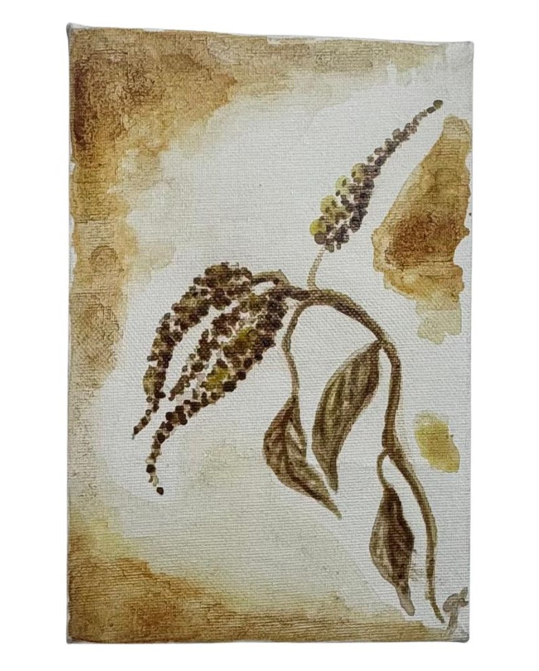 Amaranthus 3
