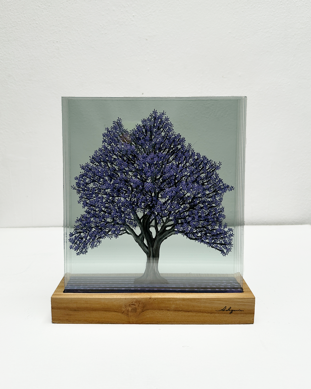 Roble morado