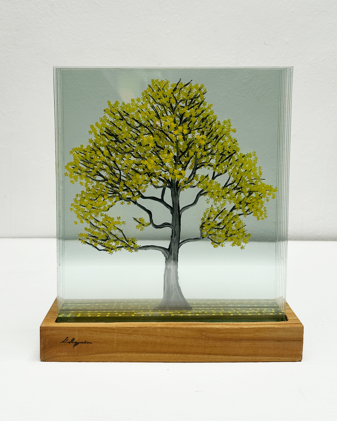 Roble amarillo