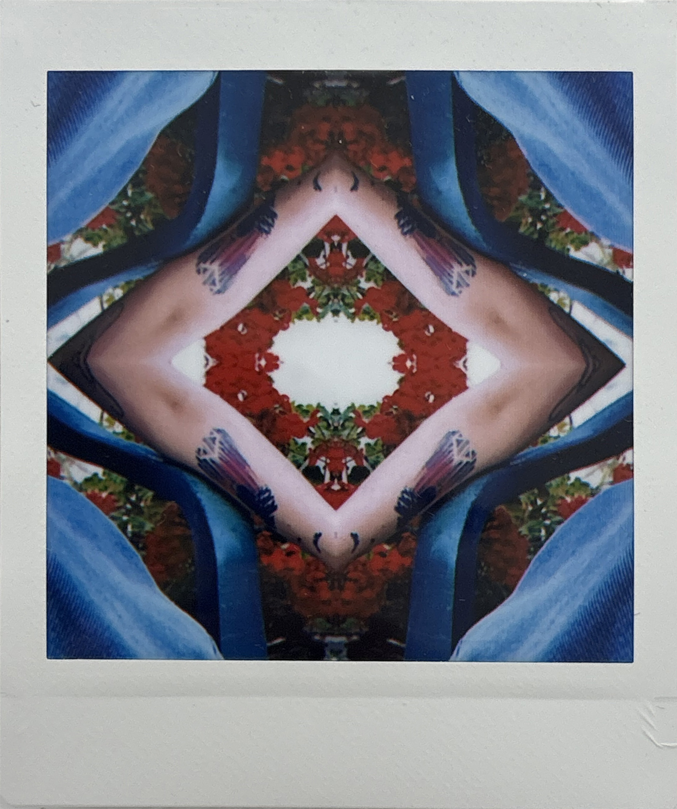 La noche sexual, polaroids. Instalación de 200 obras