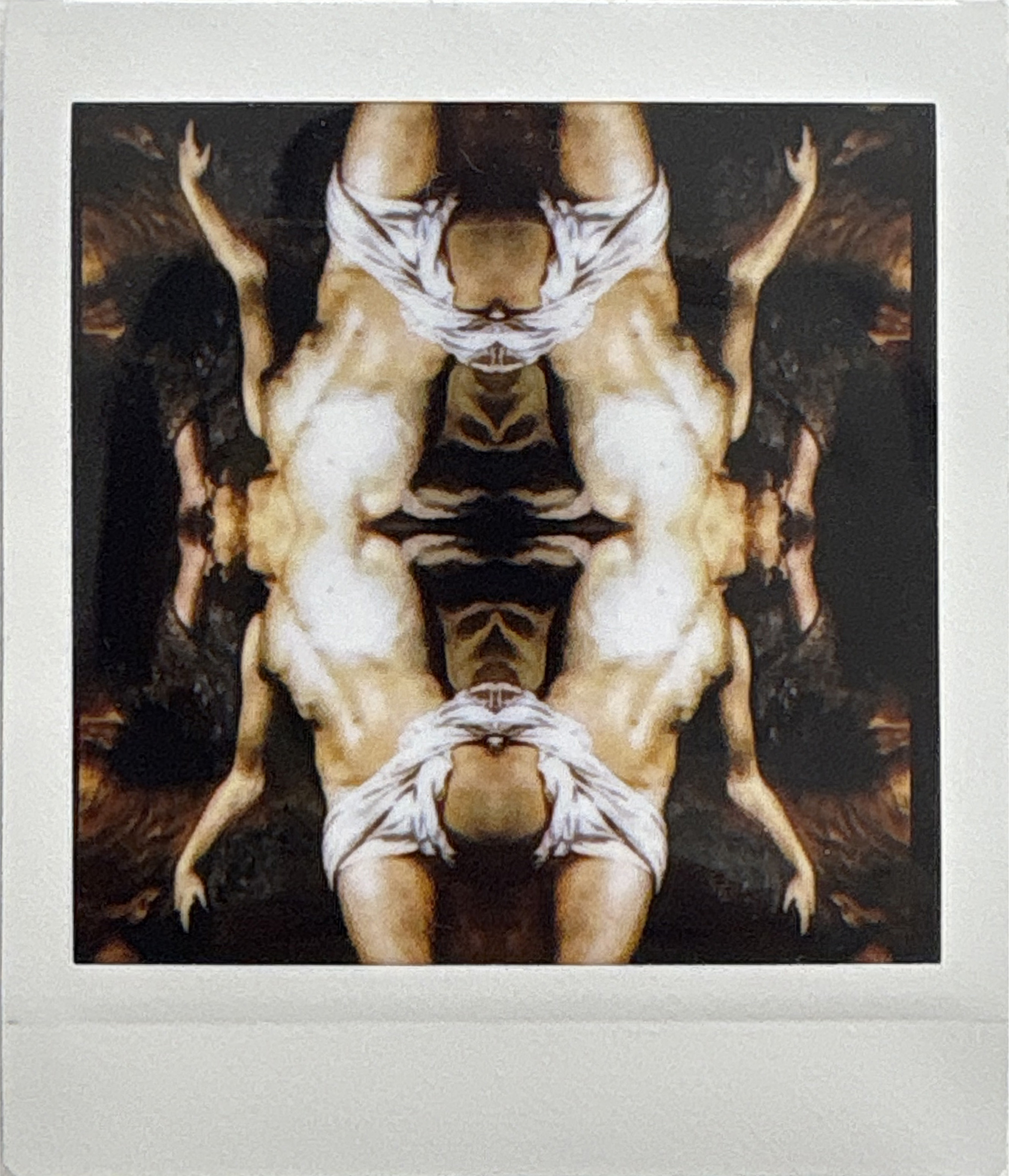 La noche sexual, polaroids. Instalación de 200 obras