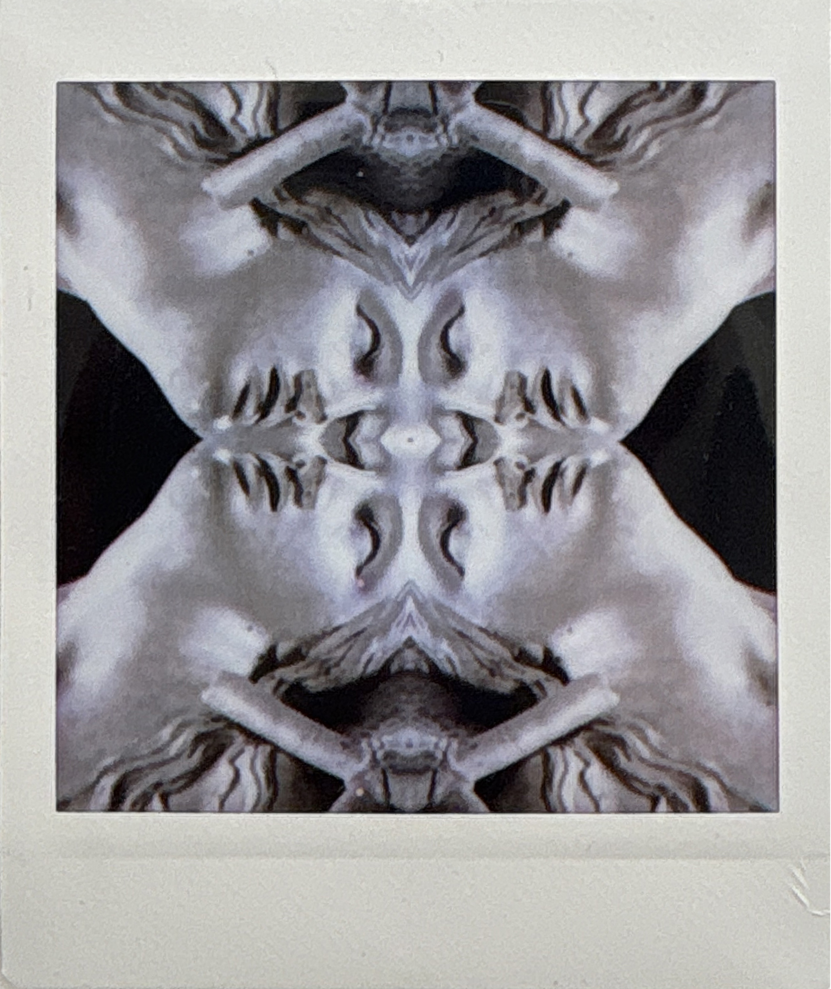 La noche sexual, polaroids. Instalación de 200 obras