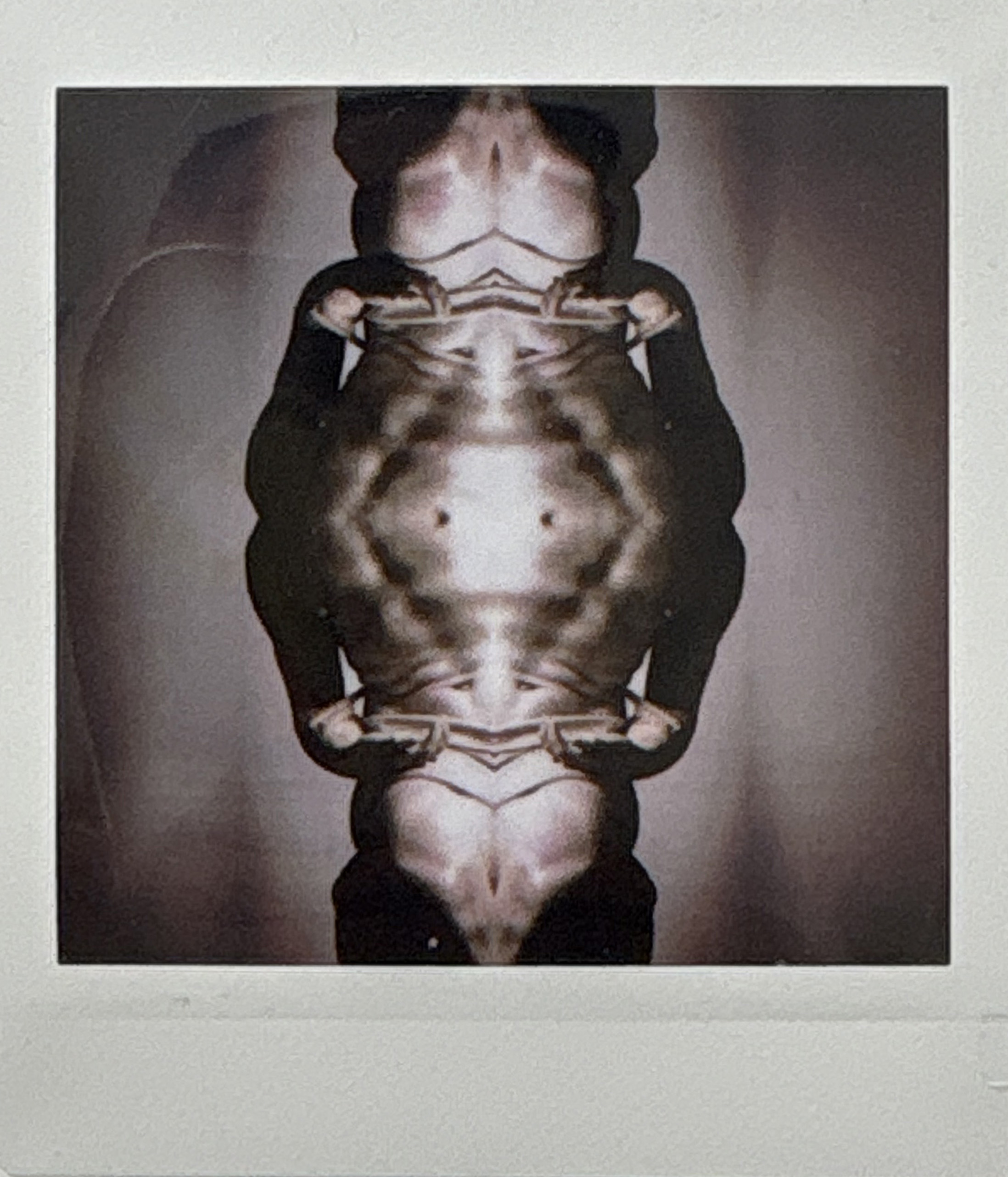 La noche sexual, polaroids. Instalación de 200 obras