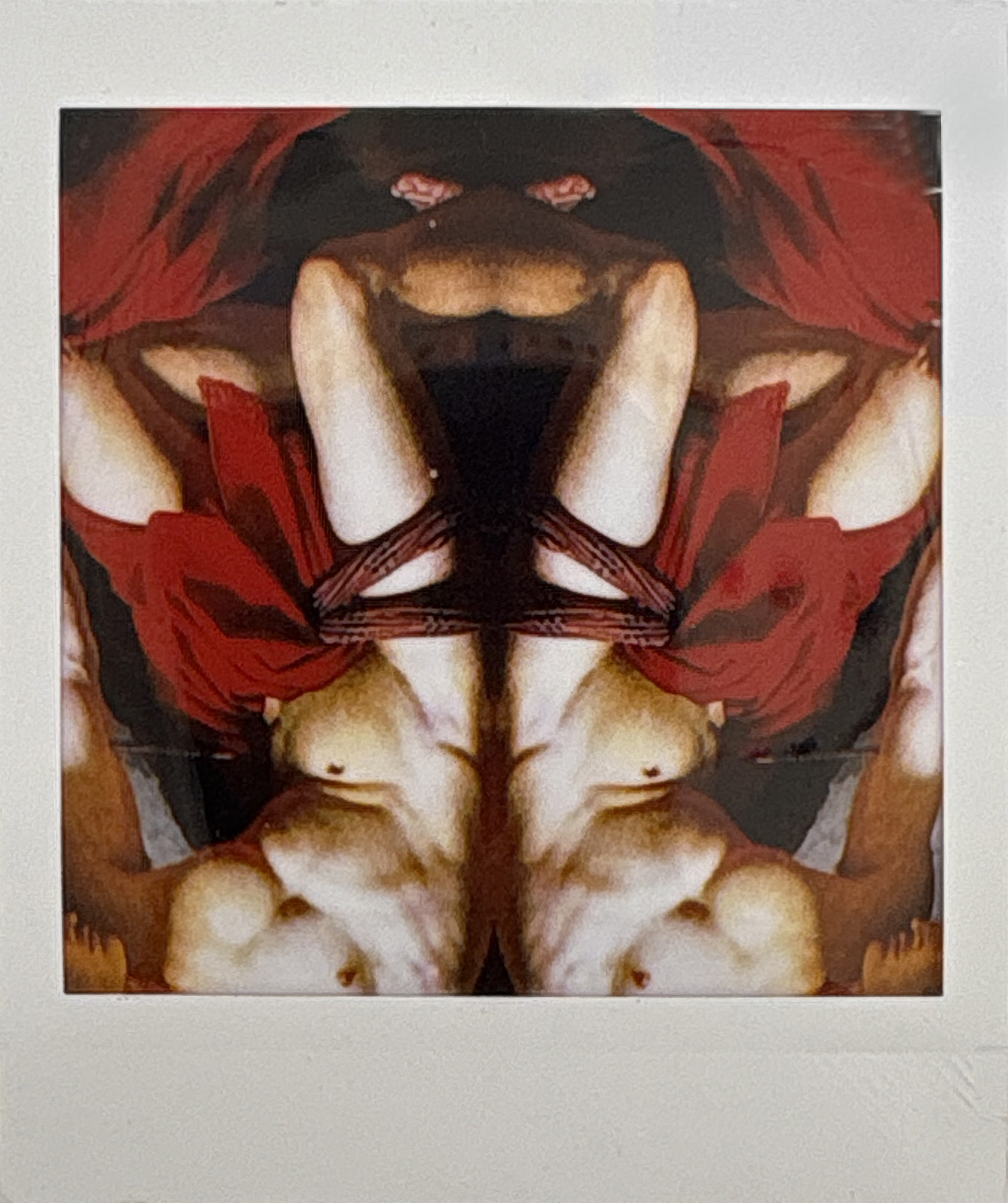La noche sexual, polaroids. Instalación de 200 obras