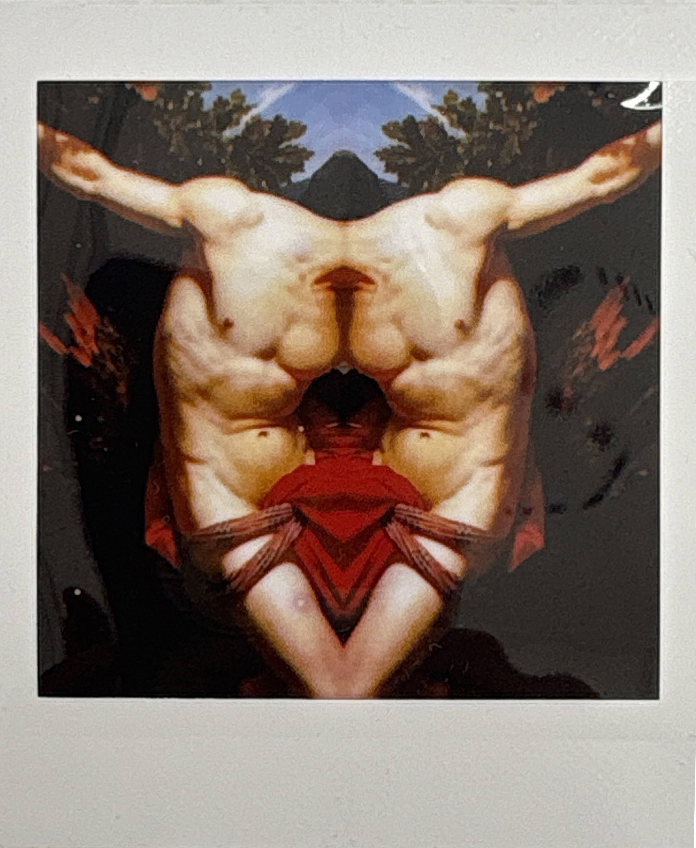 La noche sexual, polaroids. Instalación de 200 obras