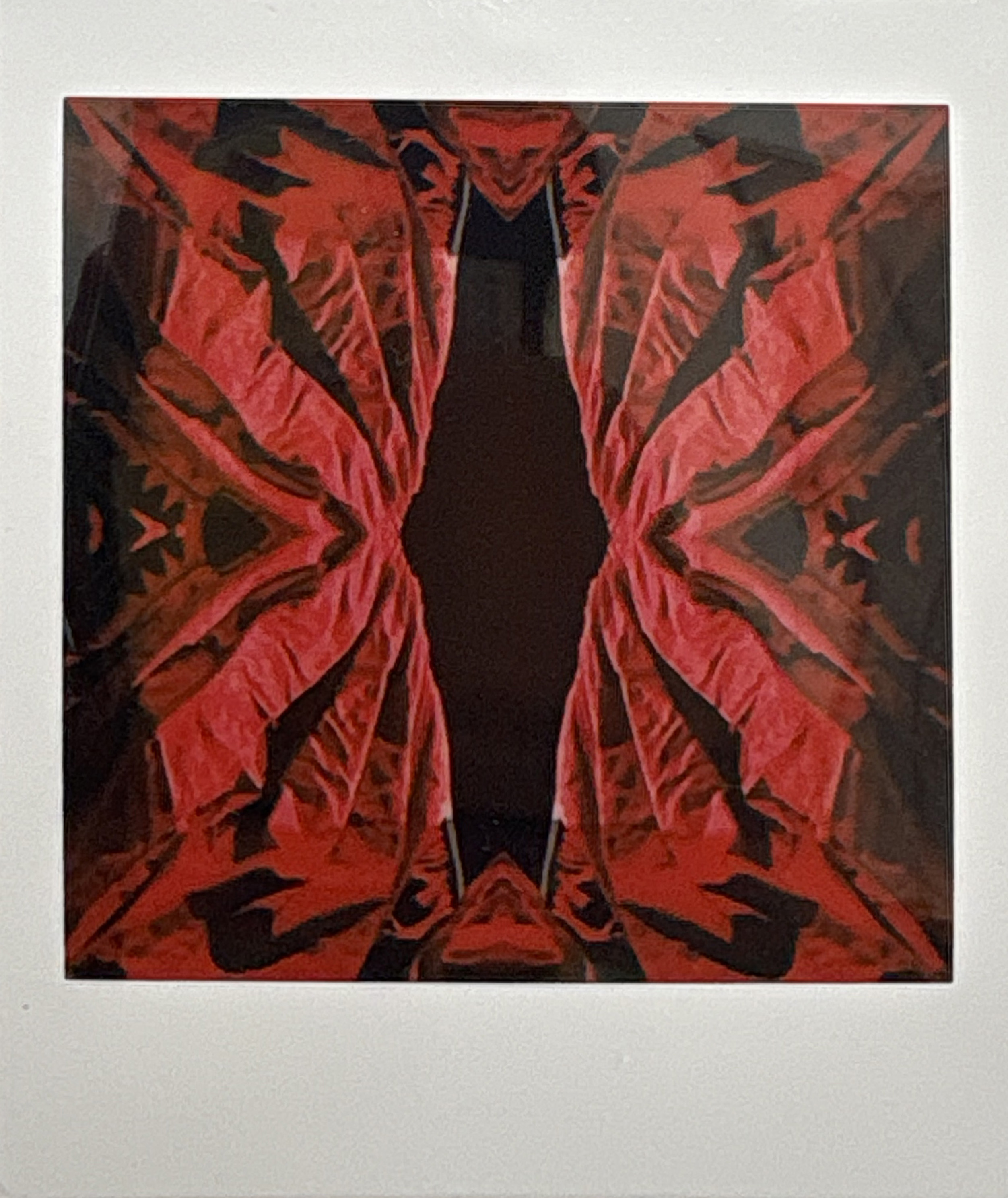 La noche sexual, polaroids. Instalación de 200 obras