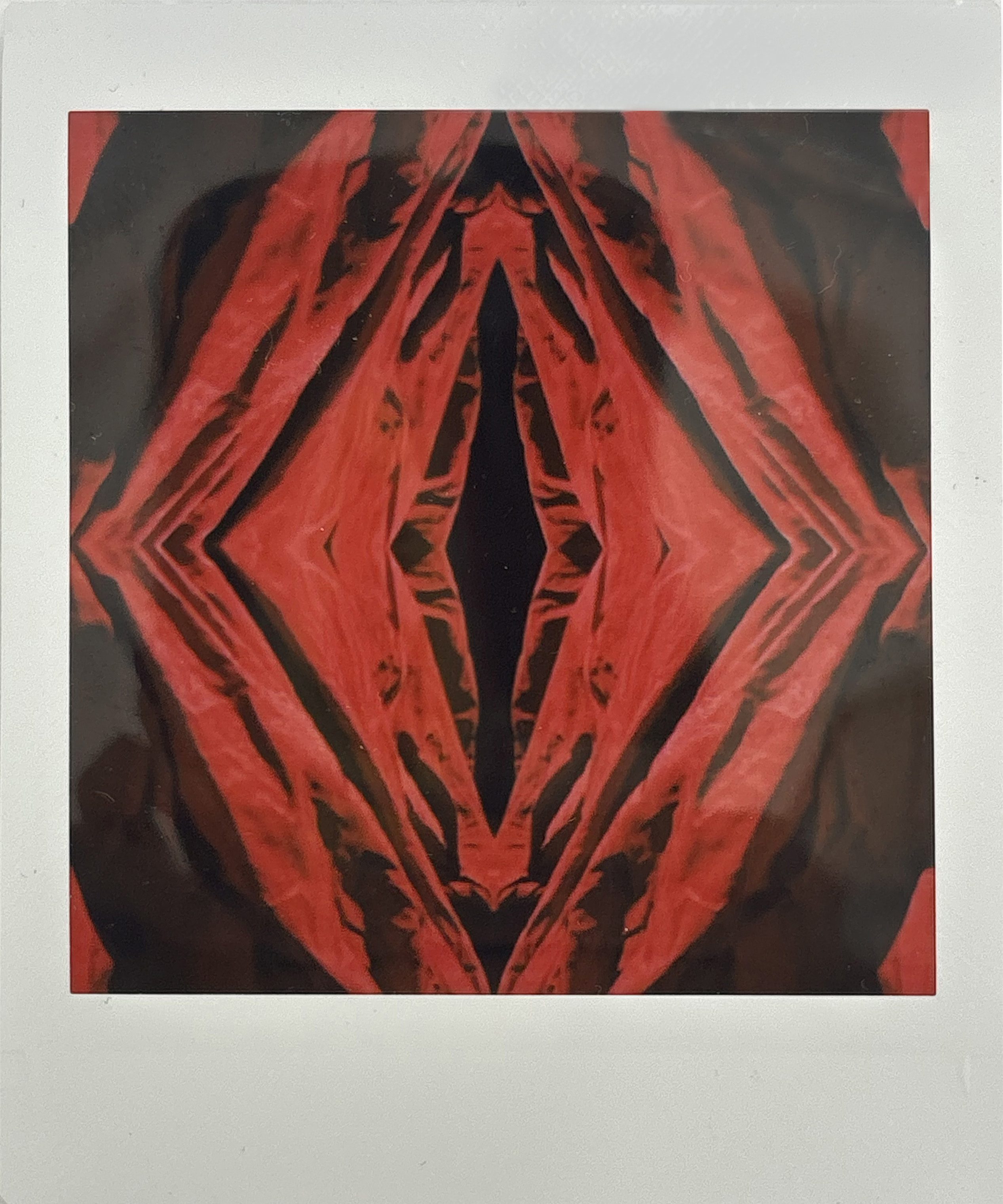 La noche sexual, polaroids. Instalación de 200 obras