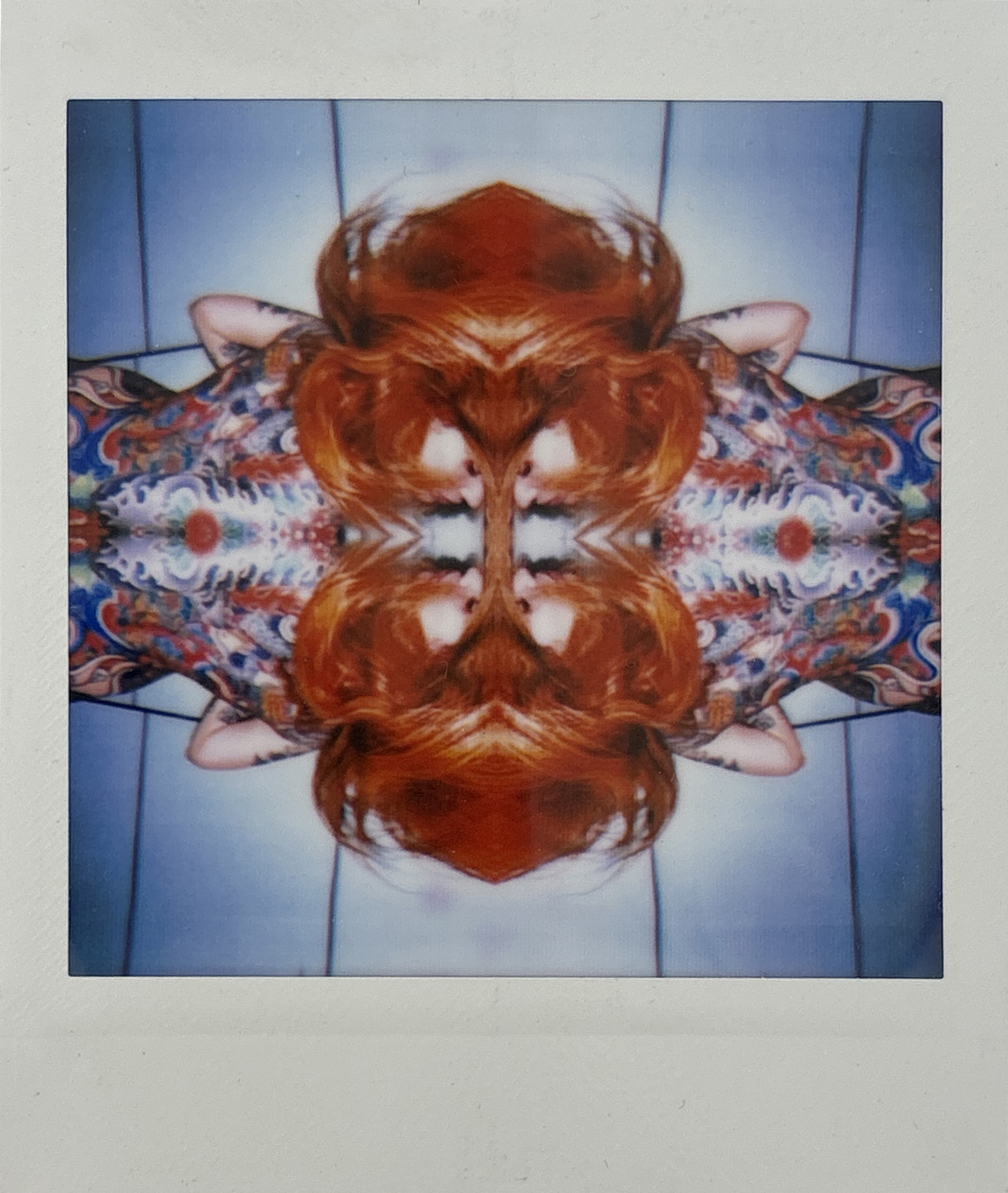 La noche sexual, polaroids. Instalación de 200 obras