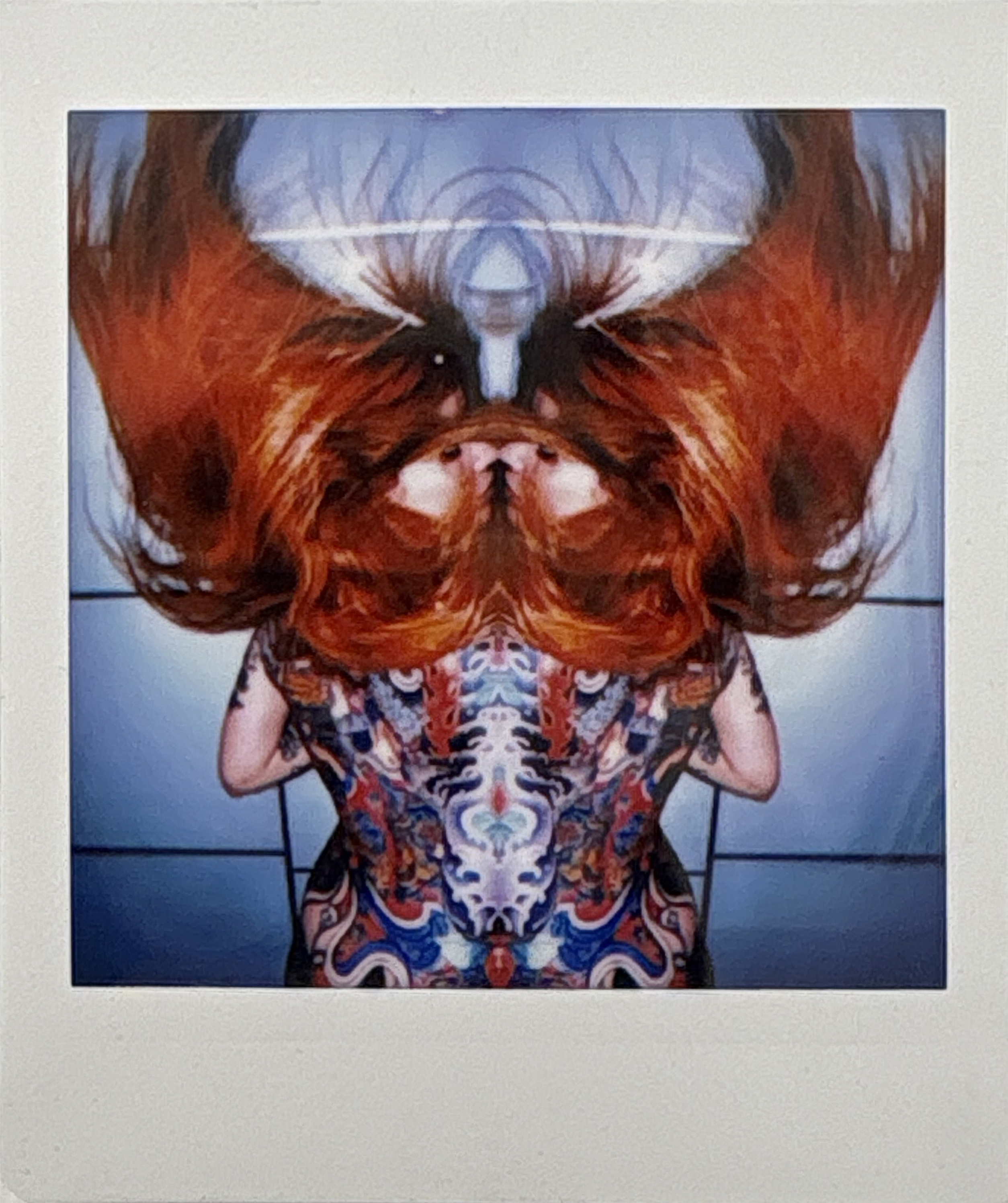 La noche sexual, polaroids. Instalación de 200 obras
