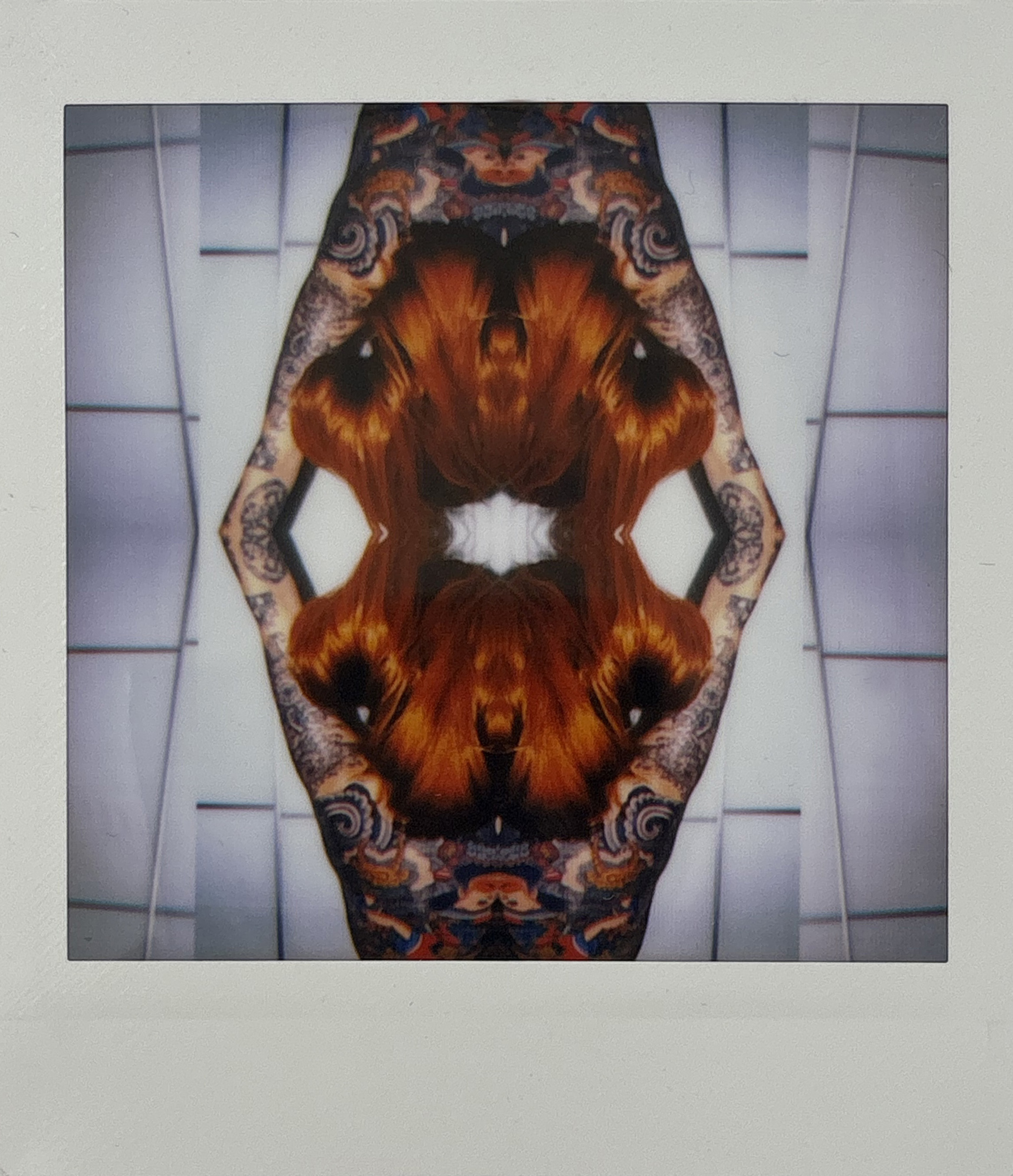 La noche sexual, polaroids. Instalación de 200 obras