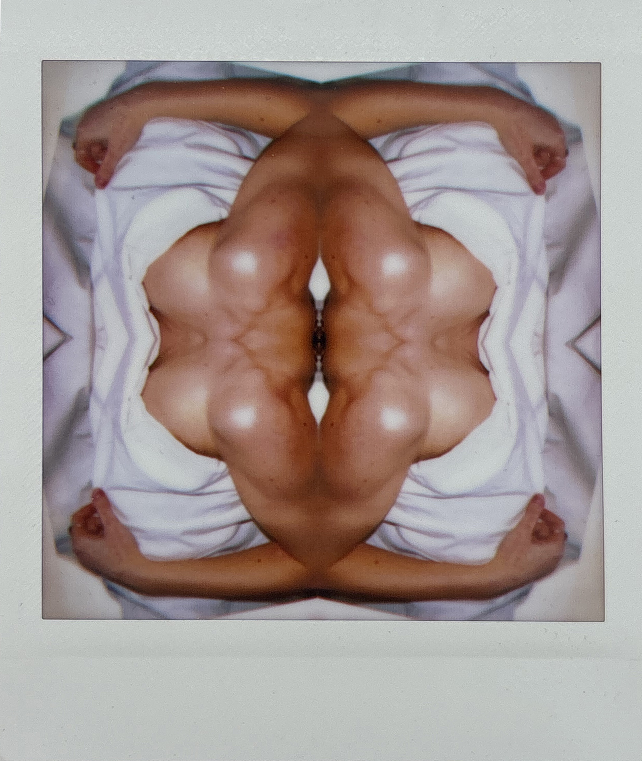 La noche sexual, polaroids. Instalación de 200 obras