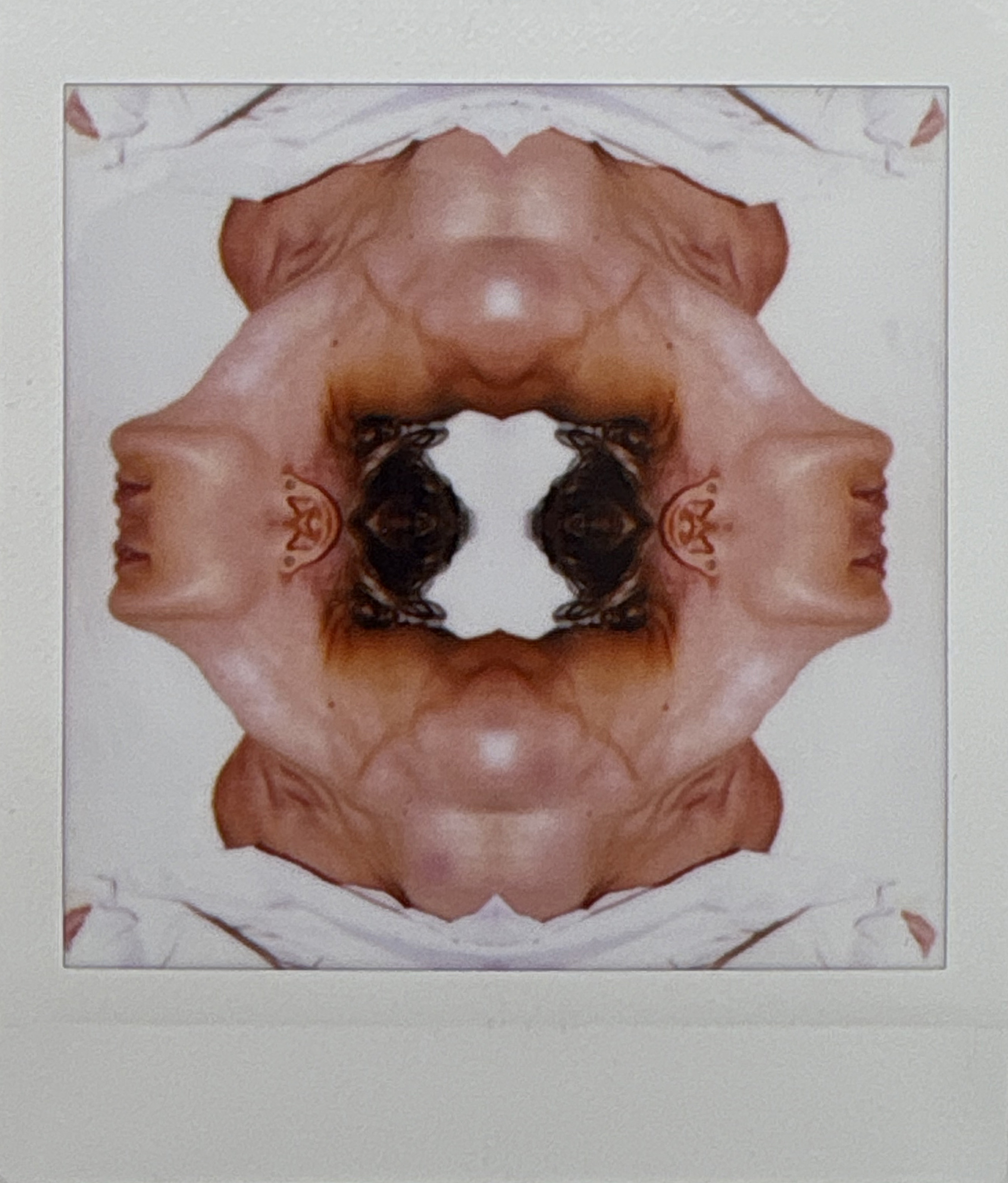 La noche sexual, polaroids. Instalación de 200 obras
