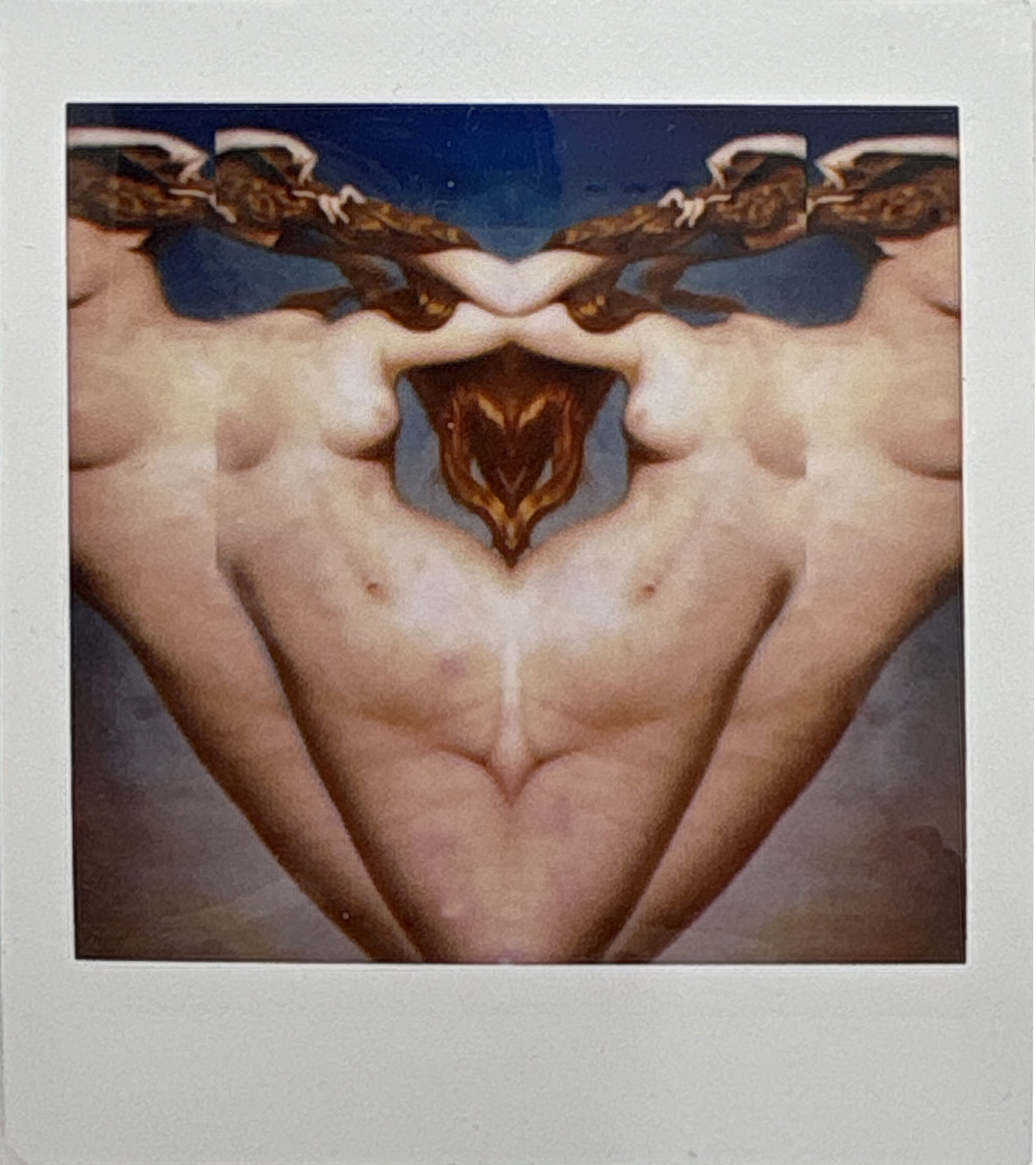 La noche sexual, polaroids. Instalación de 200 obras