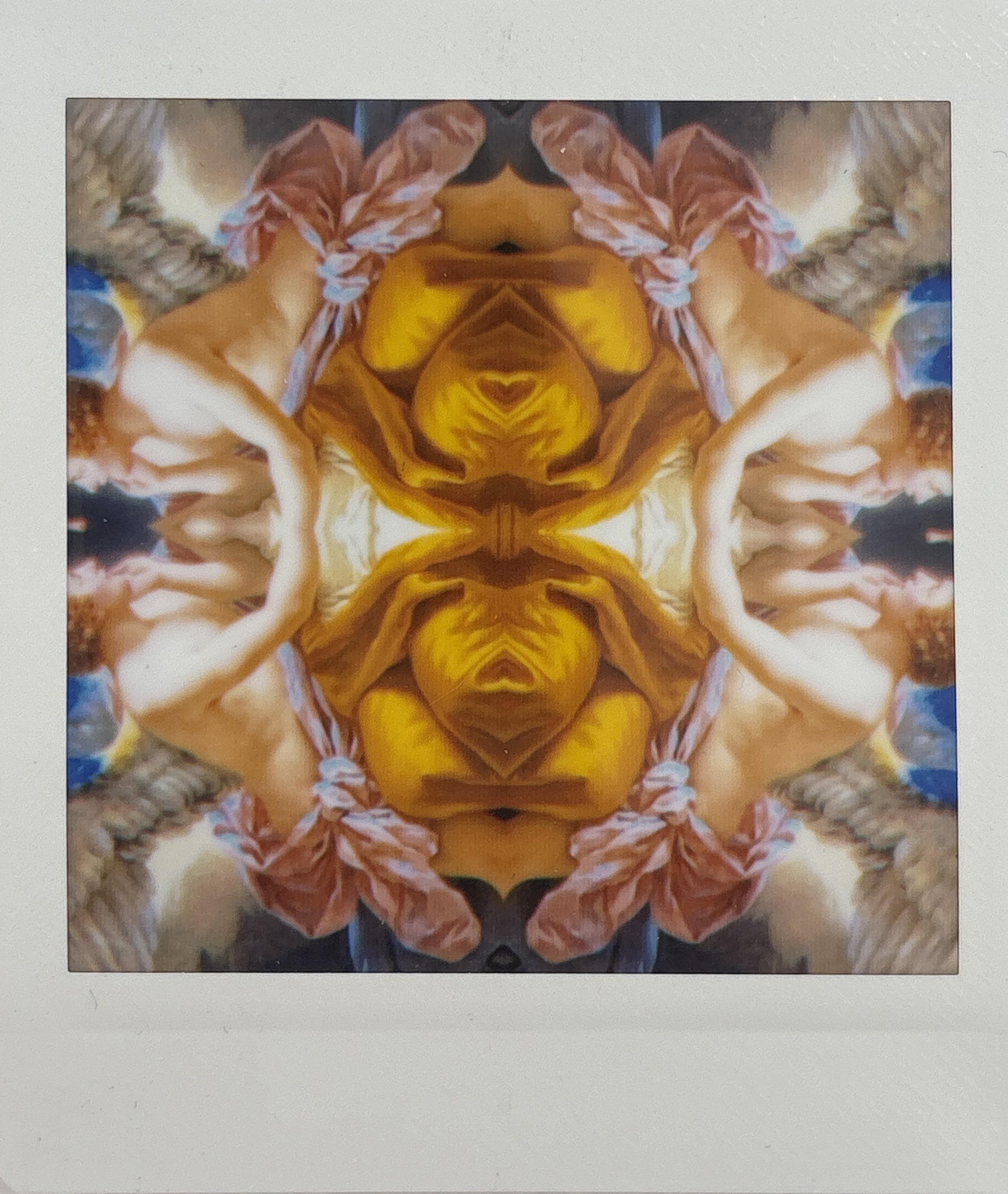 La noche sexual, polaroids. Instalación de 200 obras