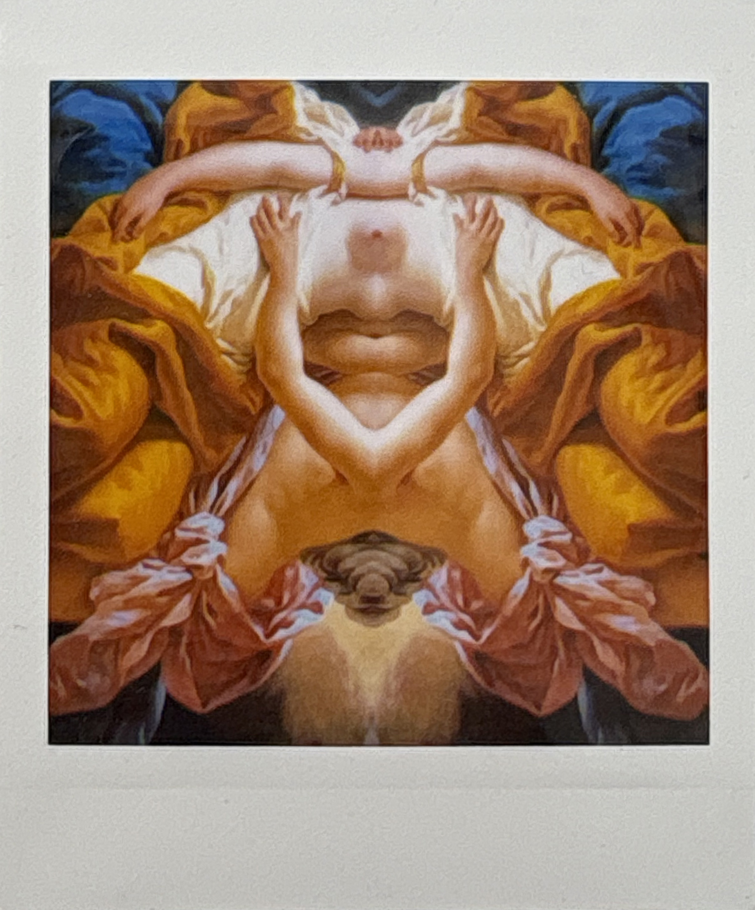 La noche sexual, polaroids. Instalación de 200 obras