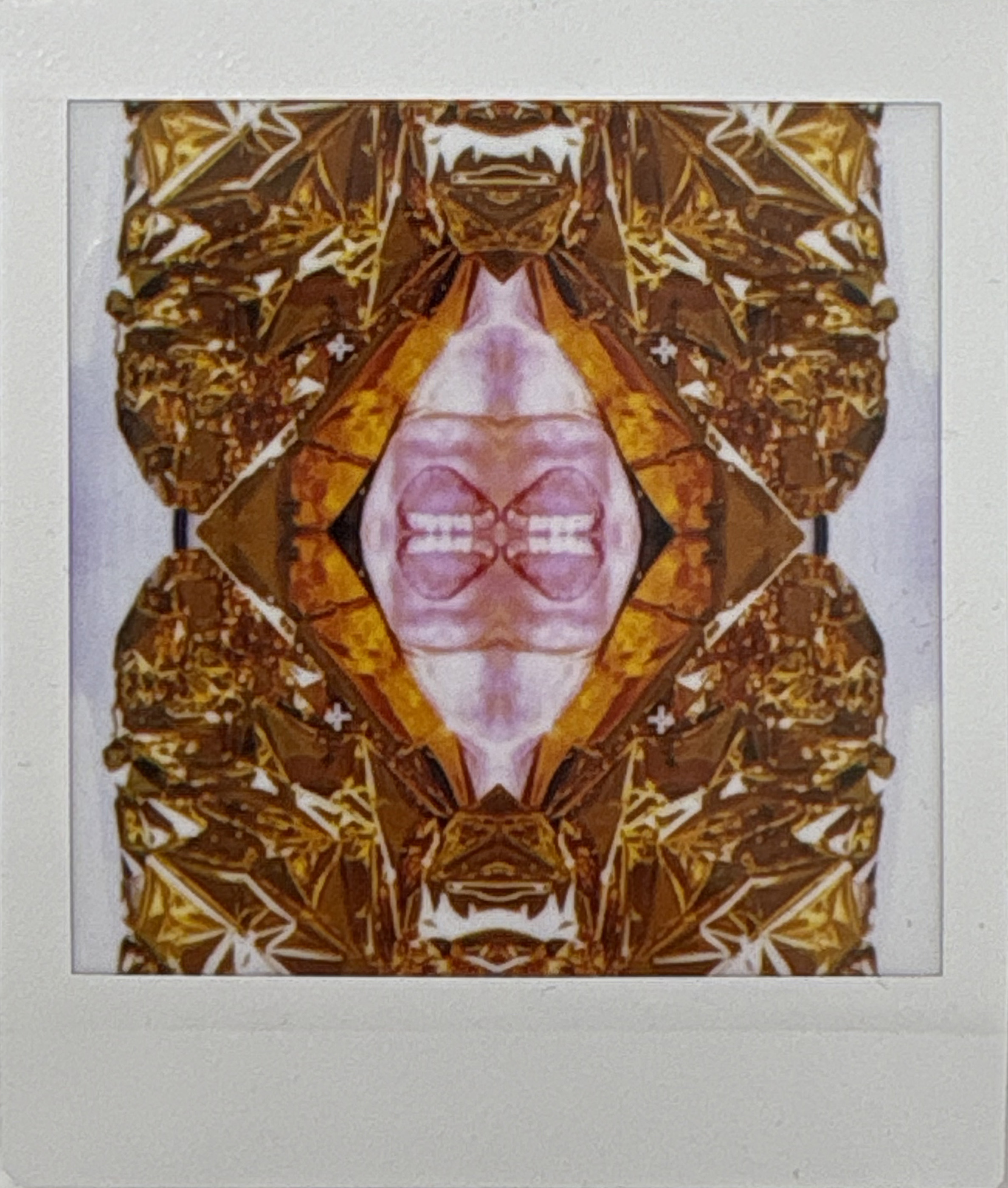 La noche sexual, polaroids. Instalación de 200 obras
