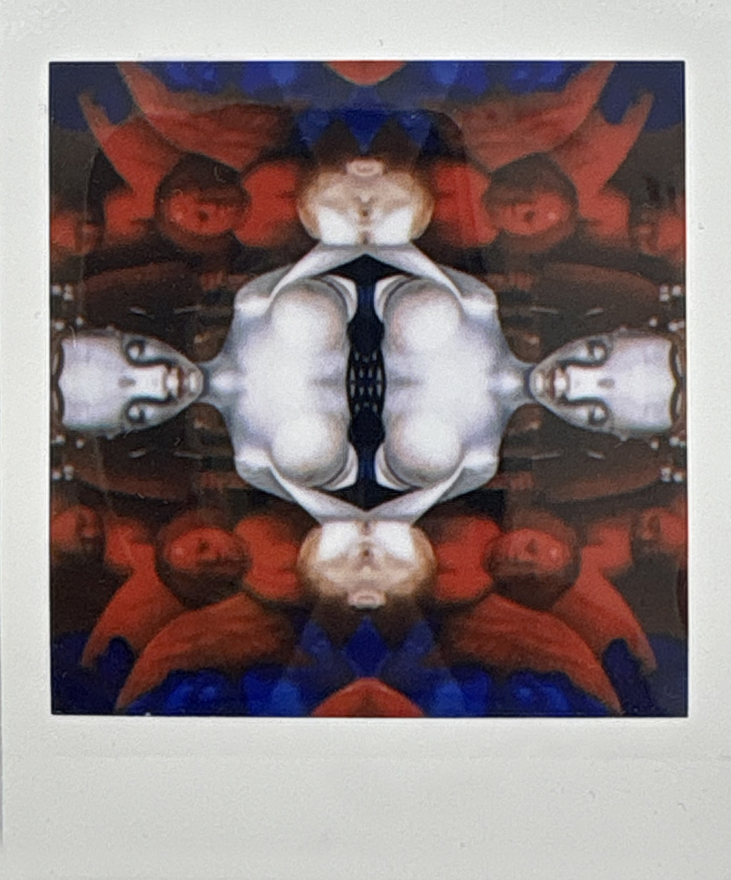 La noche sexual, polaroids. Instalación de 200 obras